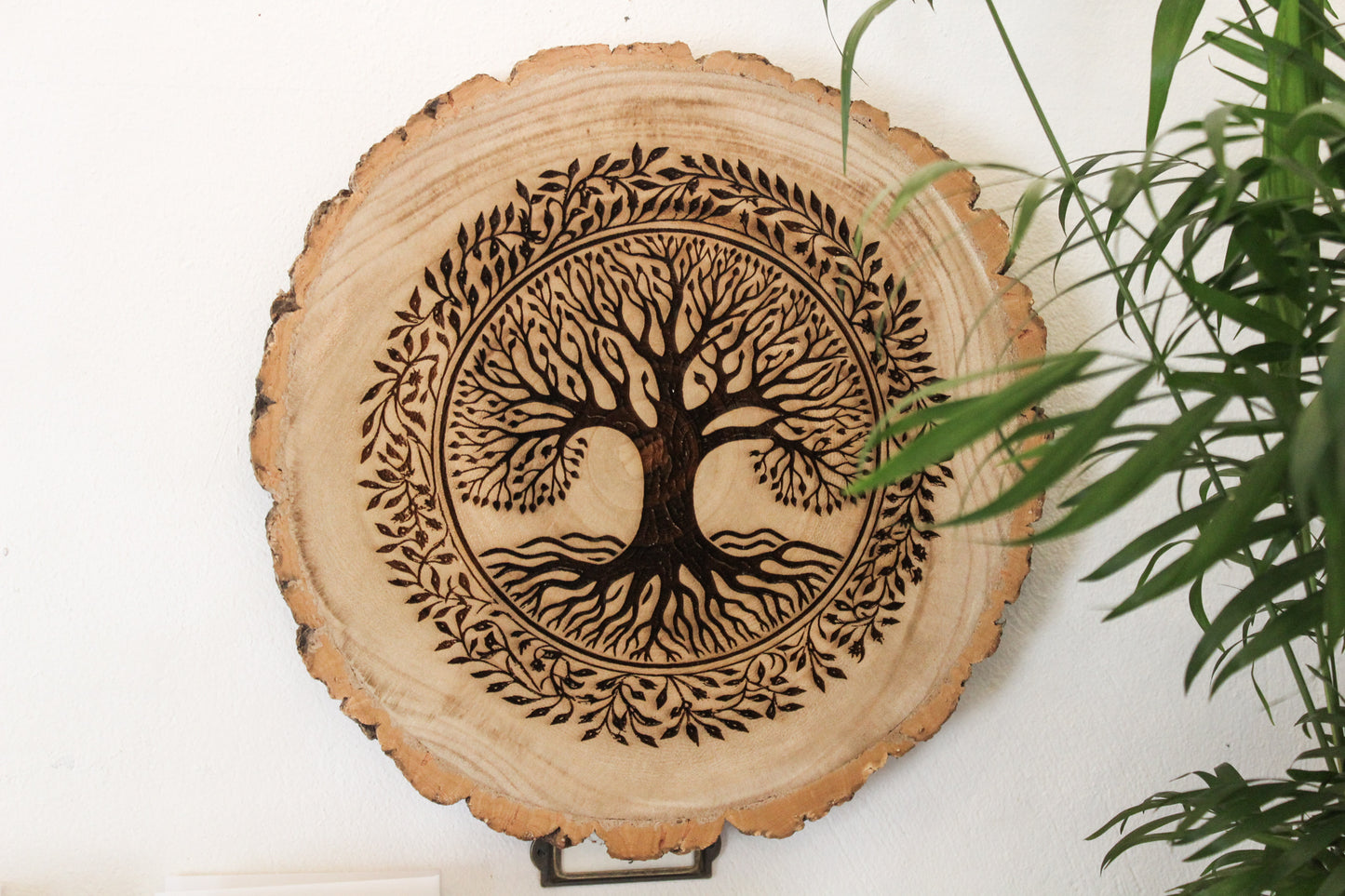 Tree Of Life Log Slice