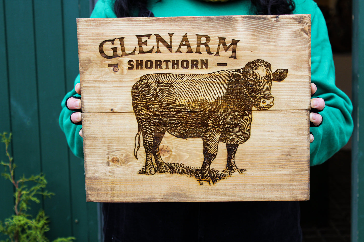 Glenarm Shorthorn Panel Art image 7