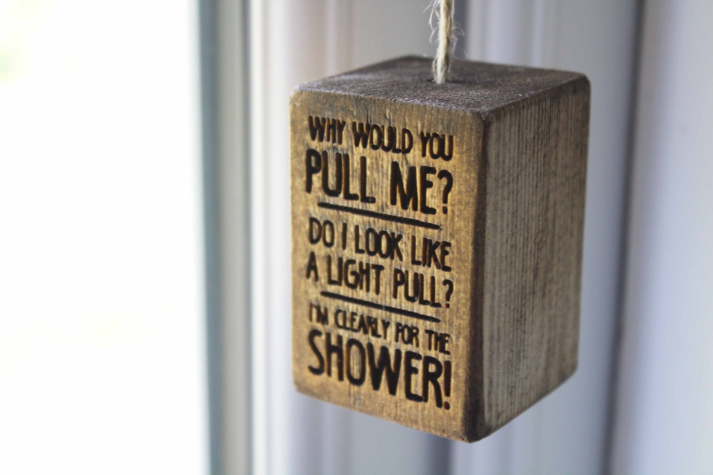 Why Would You Pull Me? Light Pull image 3