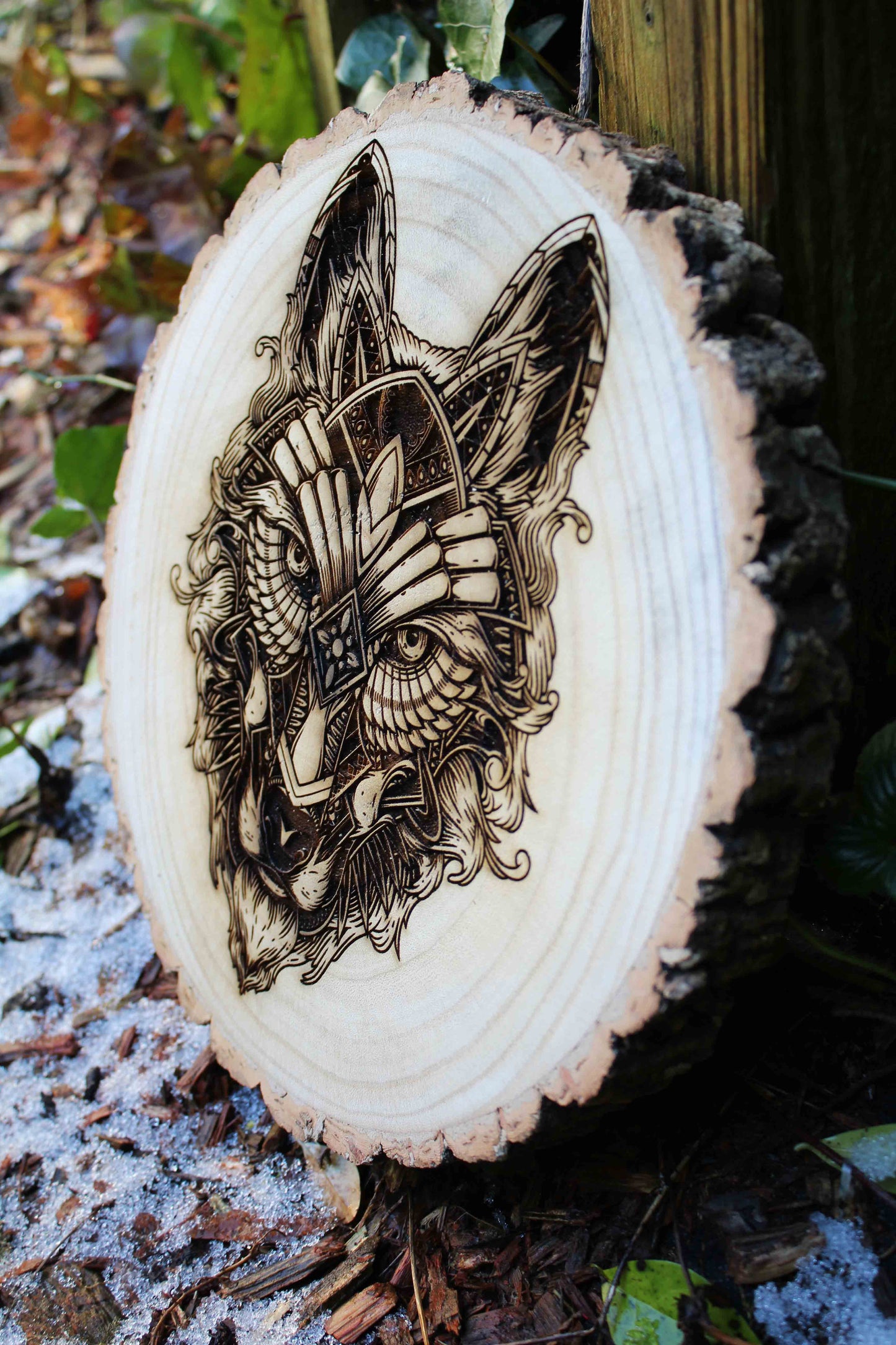 Wolf Log Slice image 6