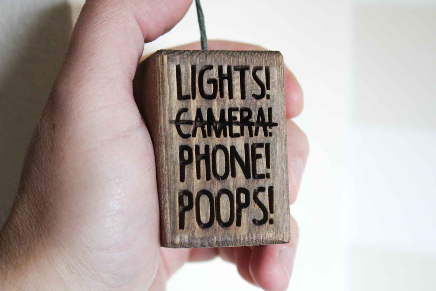 Lights! Phone! Poops! Light Pull image 3