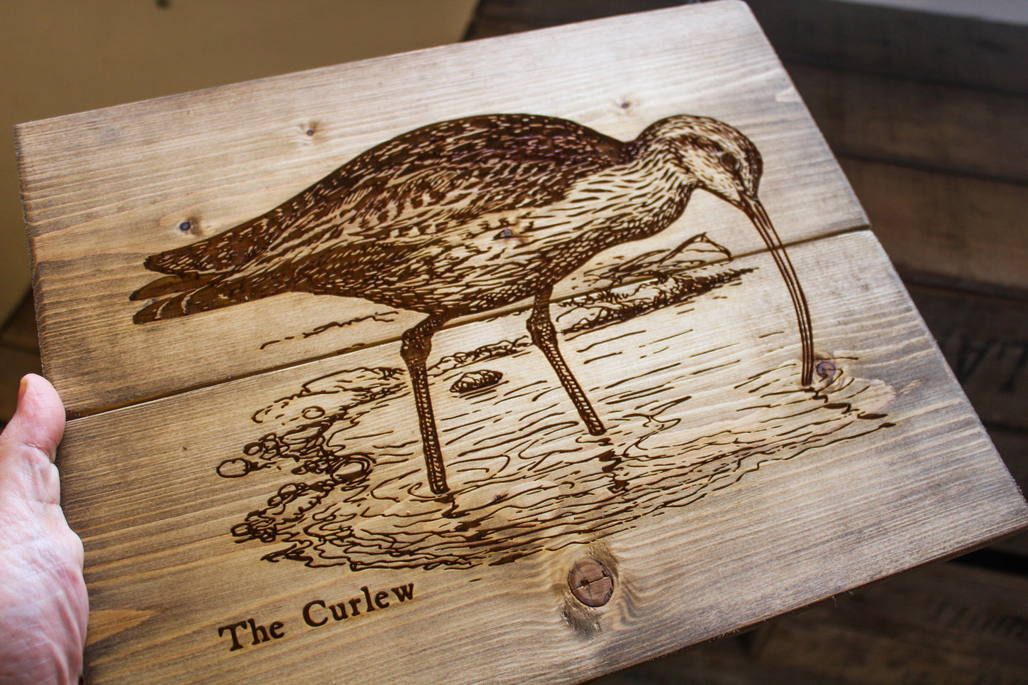 Curlew Panel Art