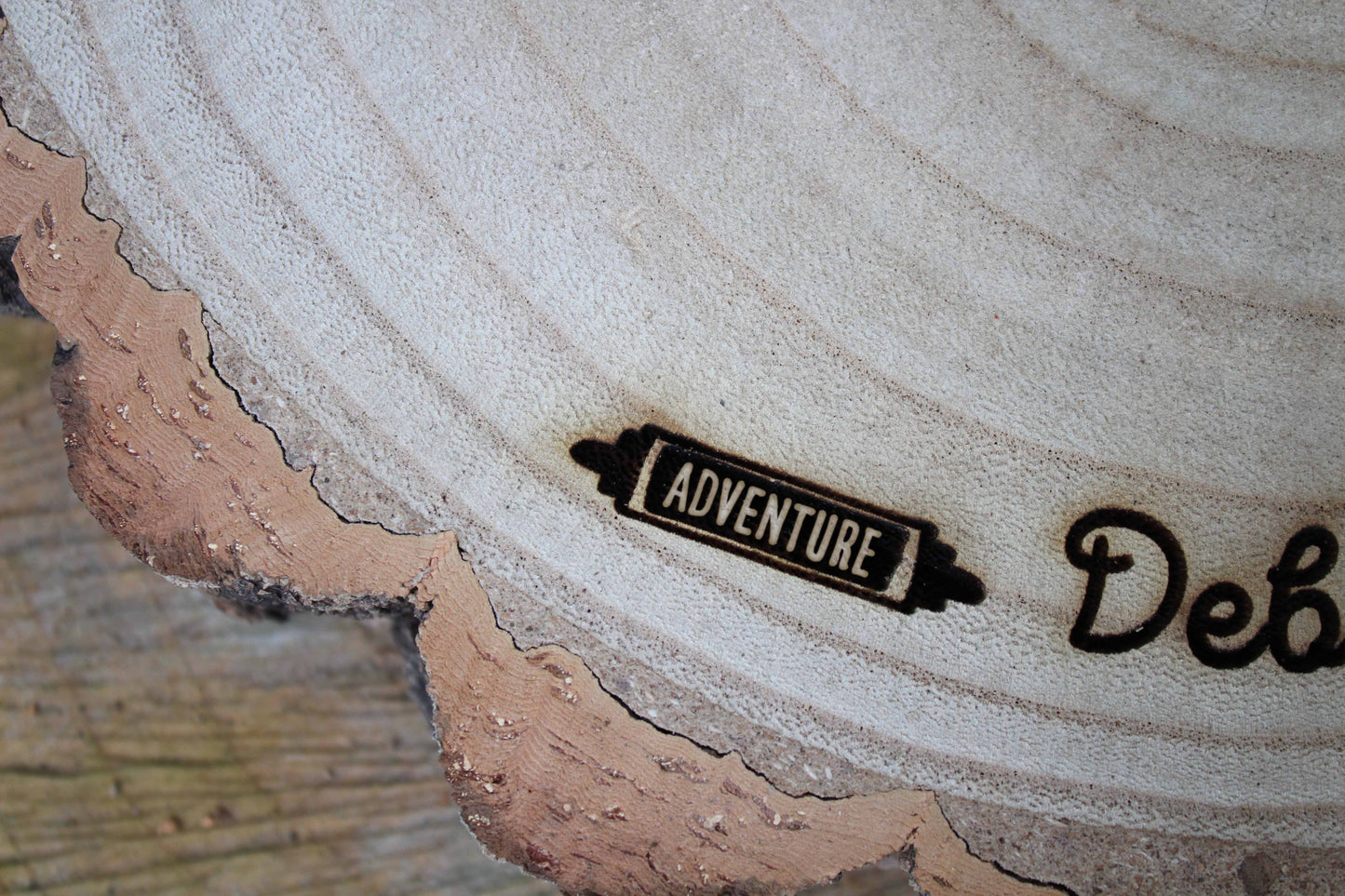 Adventure Log Slice Cake Display image 6