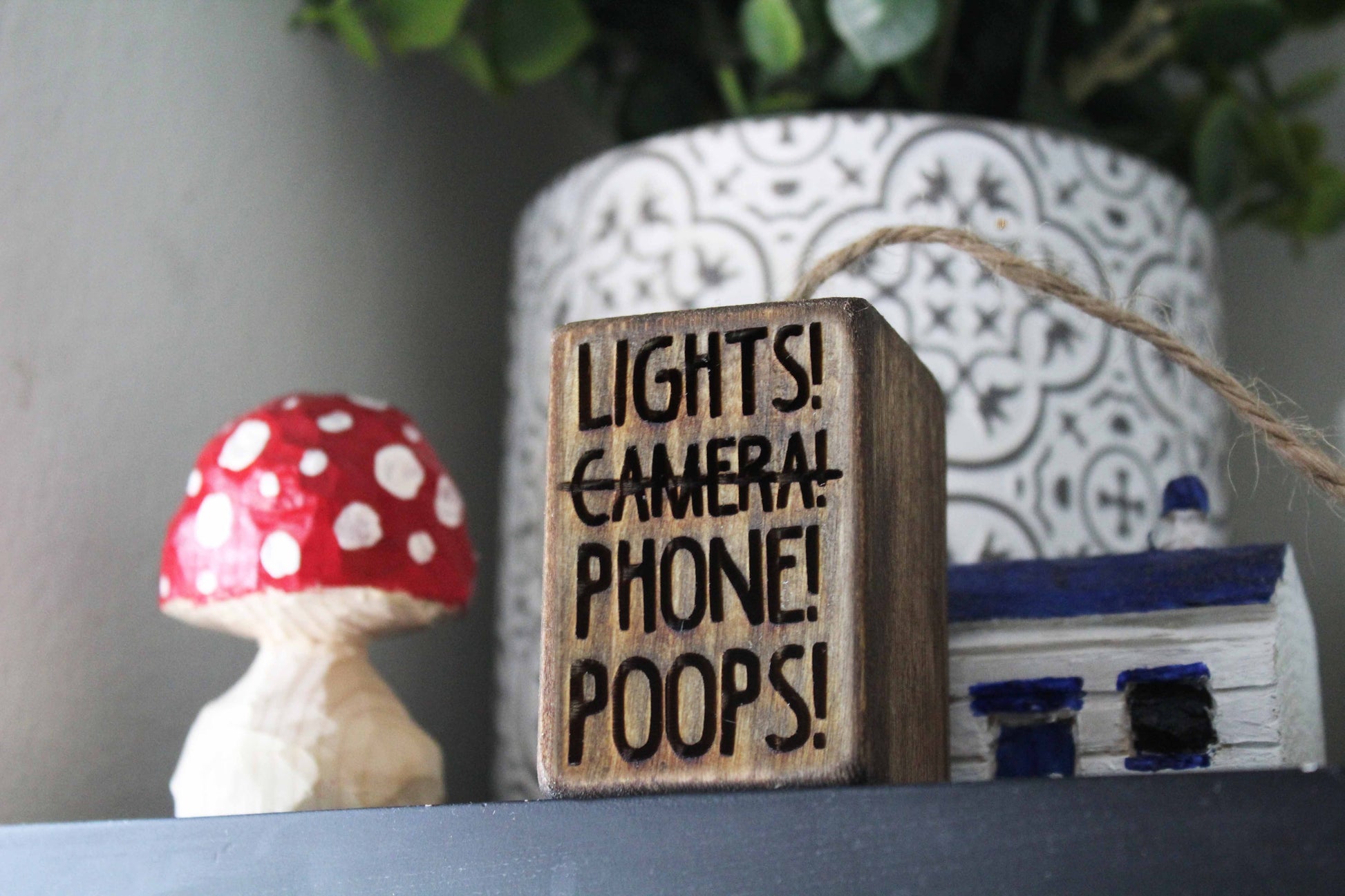 Lights! Phone! Poops! Light Pull image 0