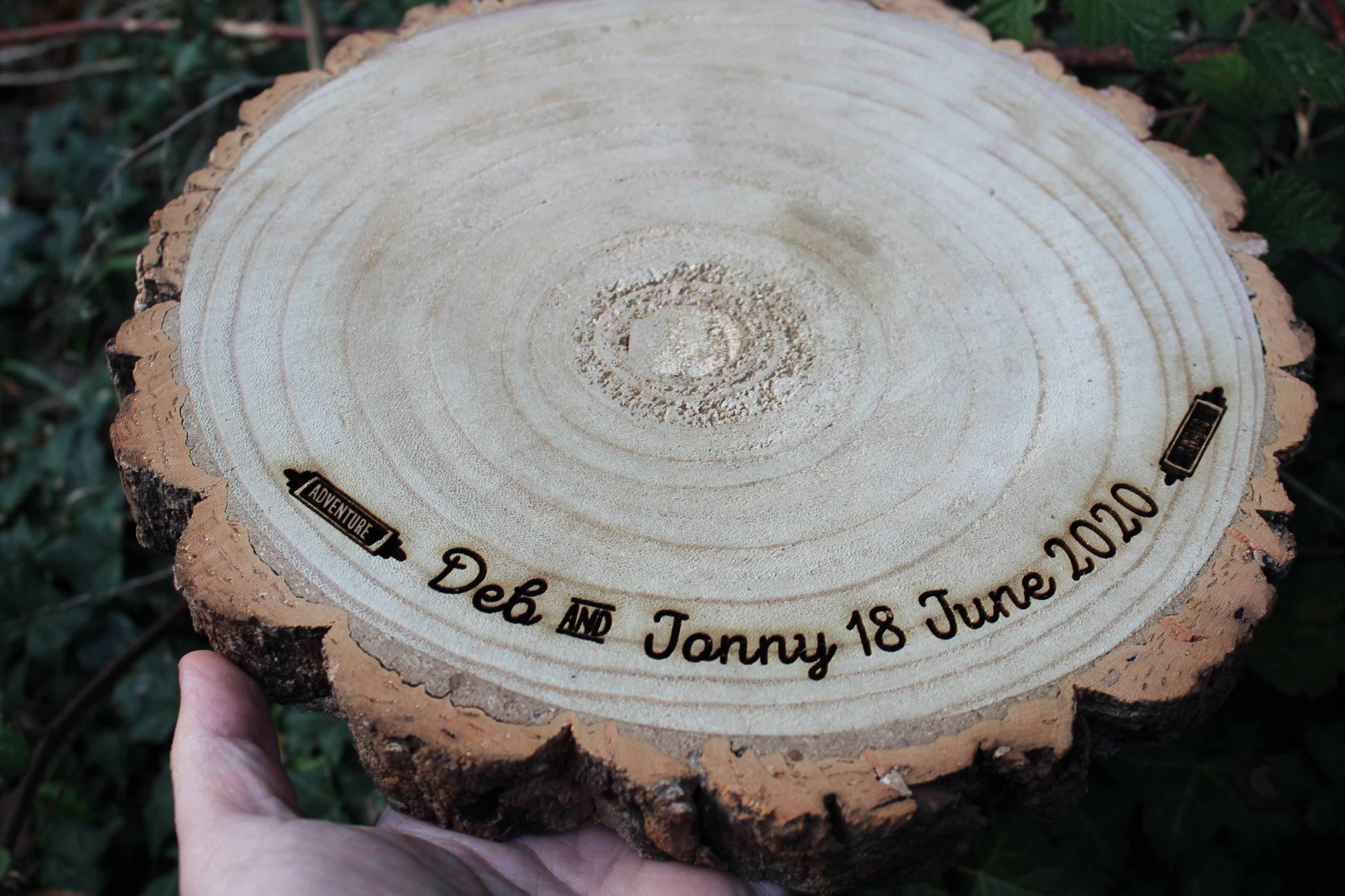 Adventure Log Slice Cake Display image 4