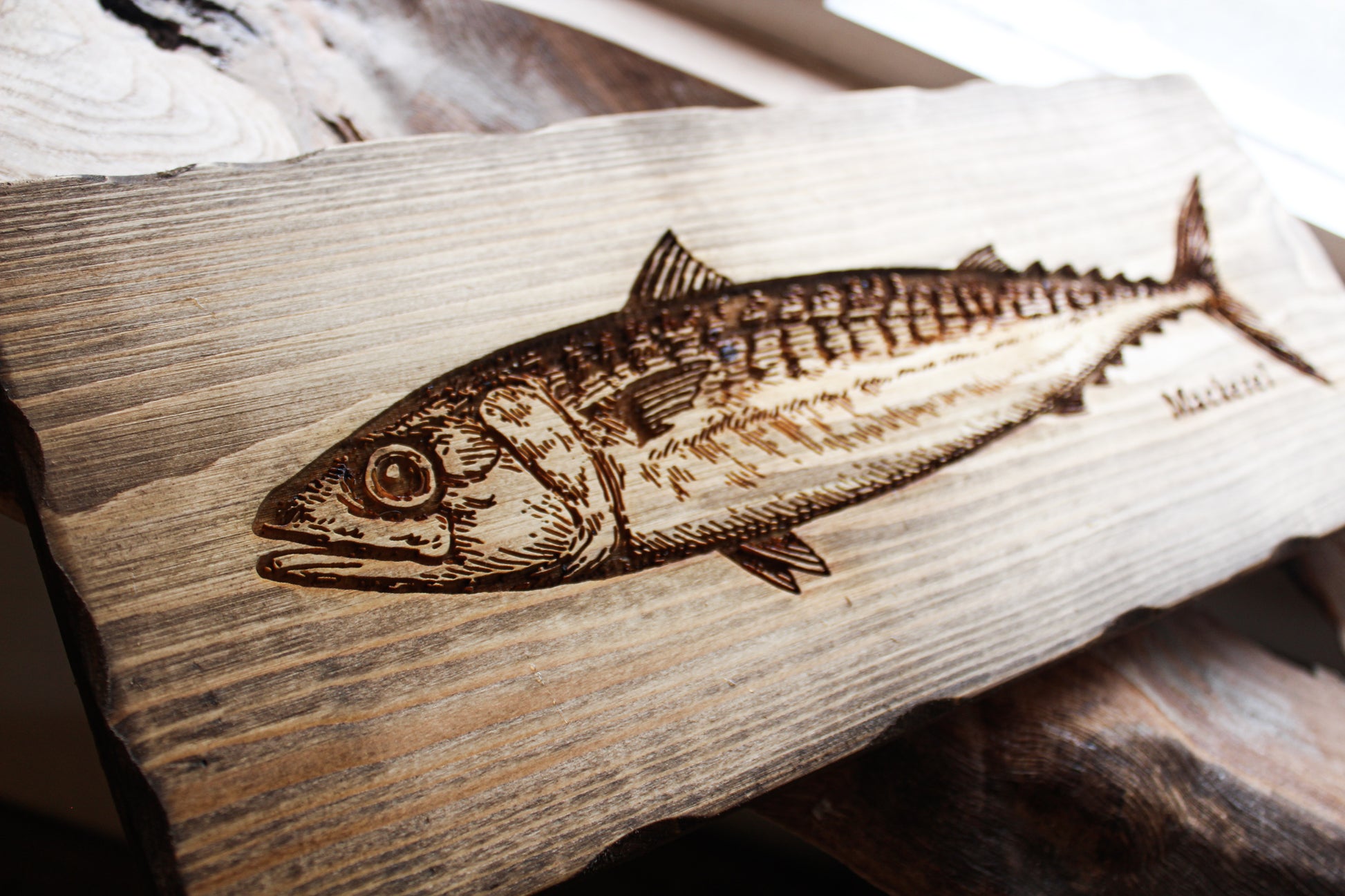 Mackerel Sign image 8