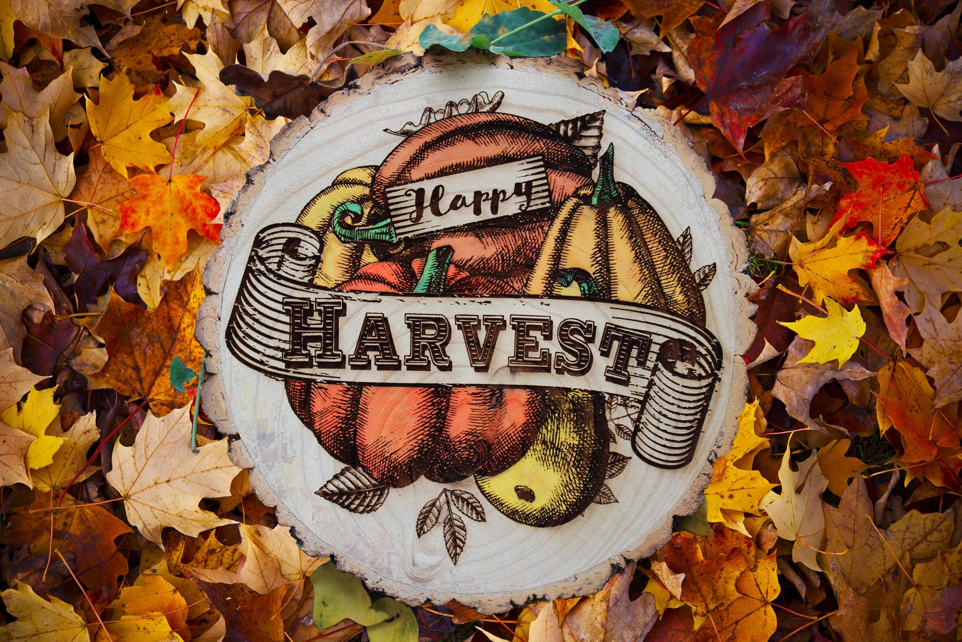 Happy Harvest Log Slice image 0