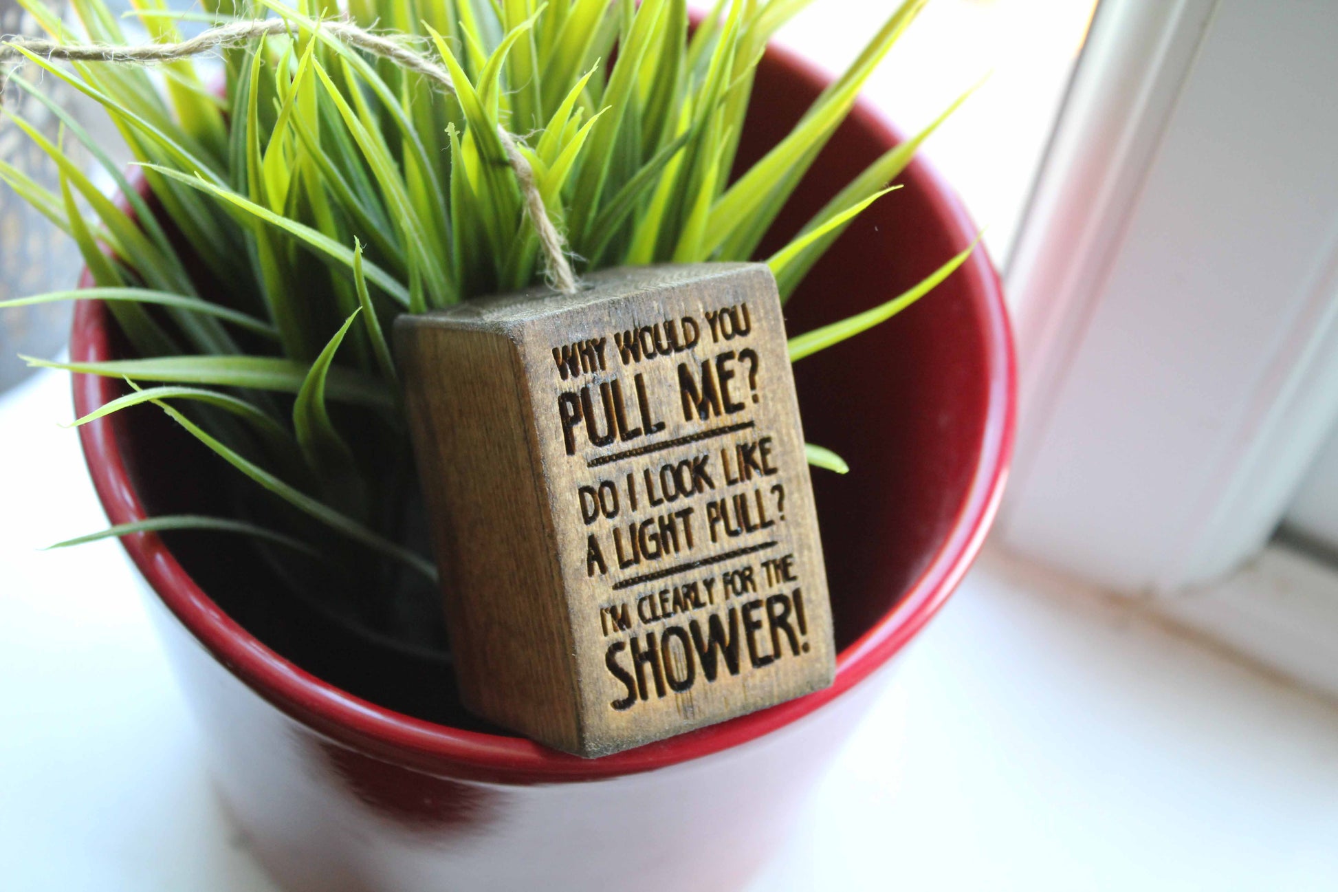 Why Would You Pull Me? Light Pull image 2