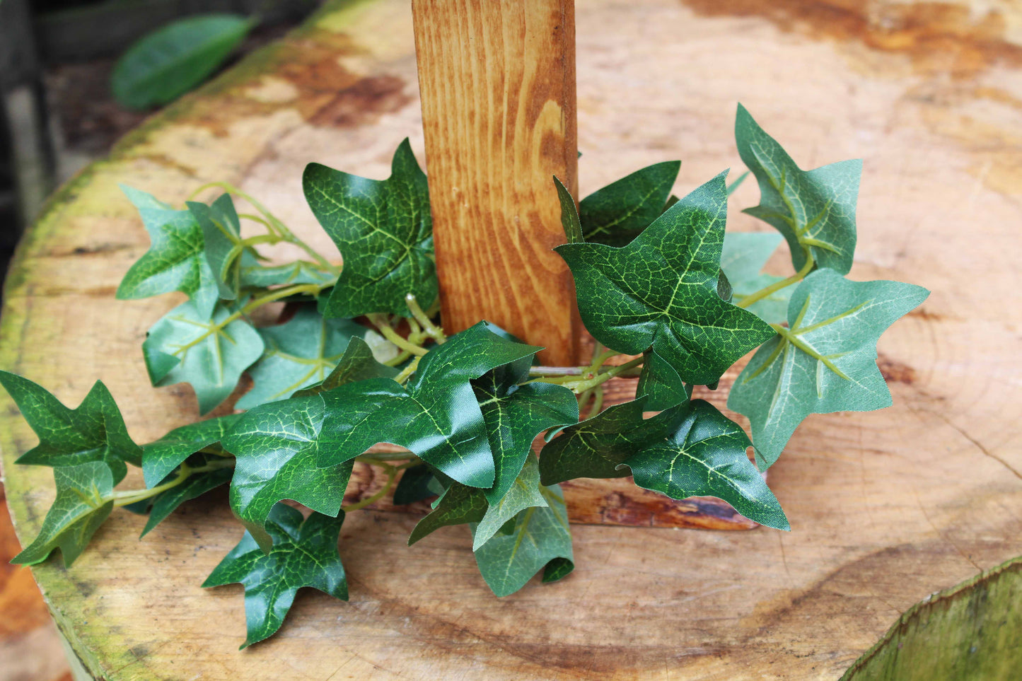 Celtic Sweetheart Sign image 2