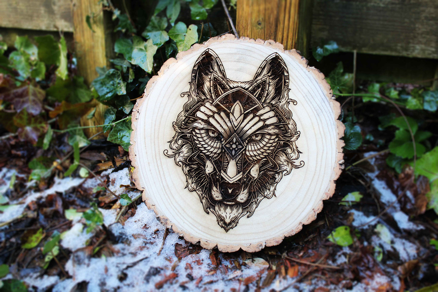 Wolf Log Slice image 3