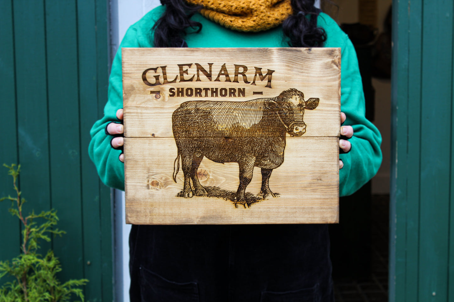 Glenarm Shorthorn Panel Art image 3