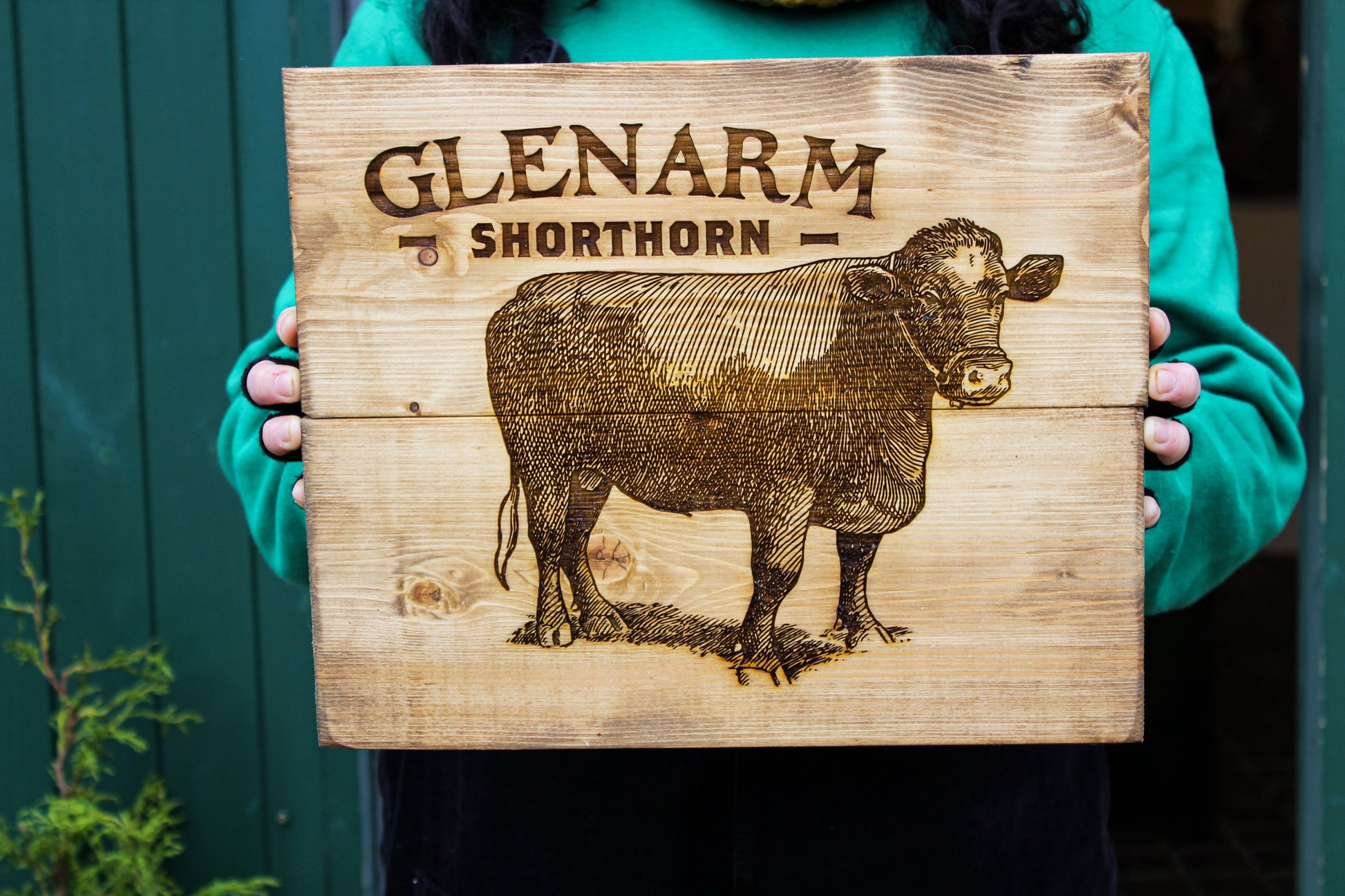 Glenarm Shorthorn Panel Art image 7