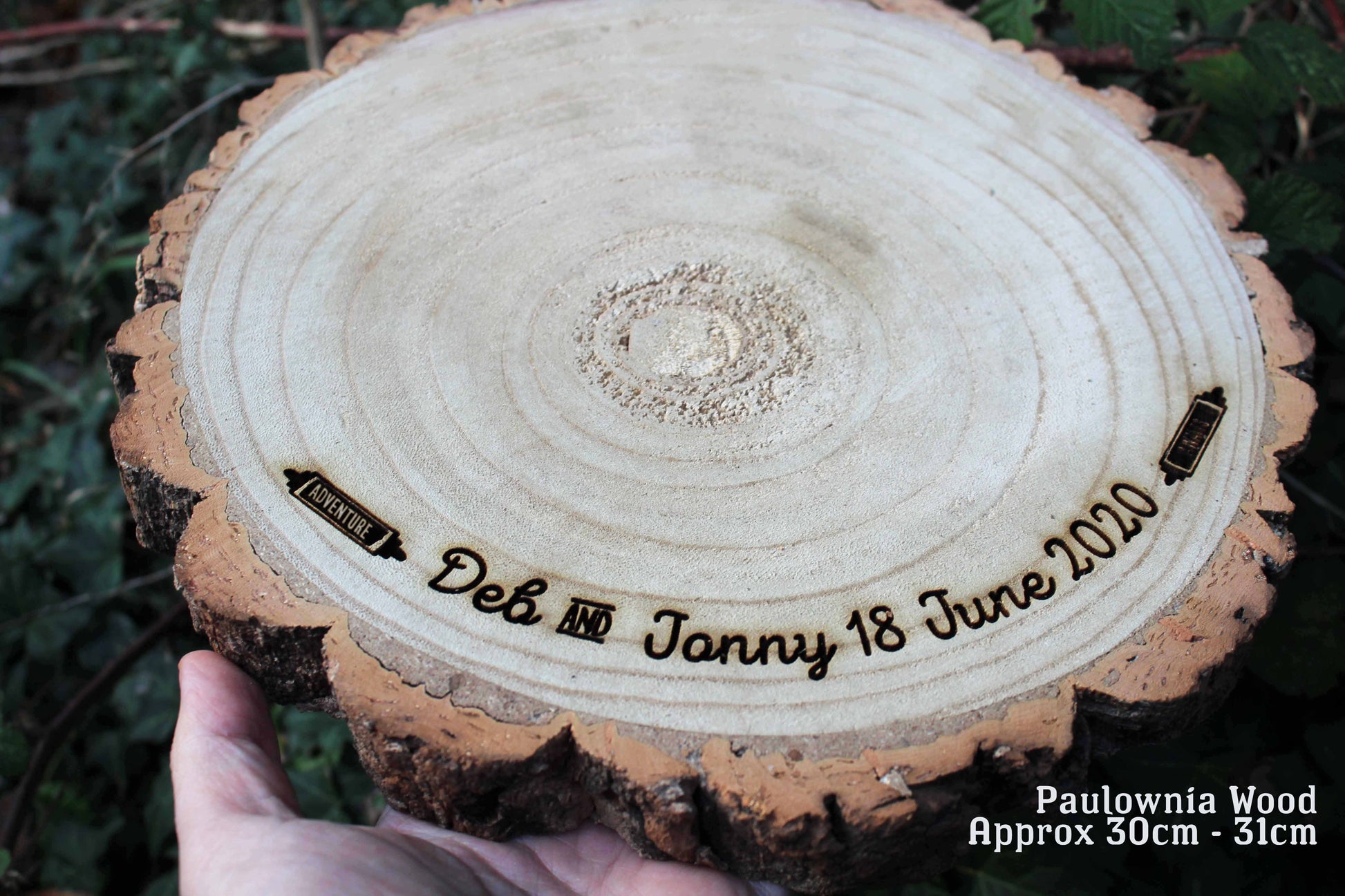 Adventure Log Slice Cake Display image 1