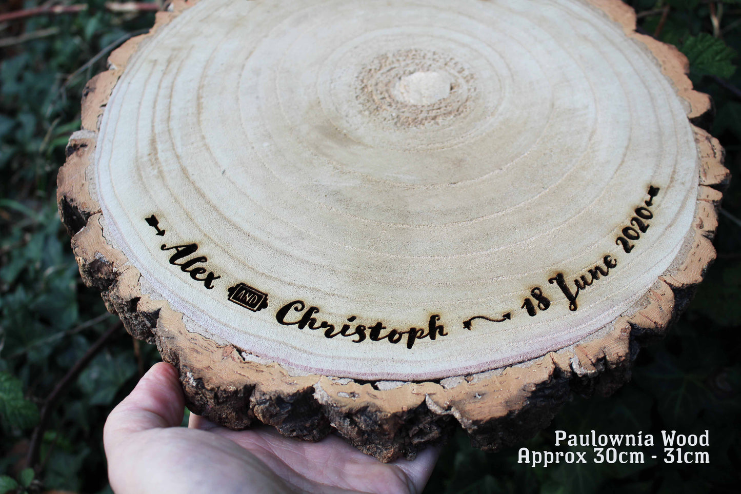 Arrow Log Slice Cake Display image 1