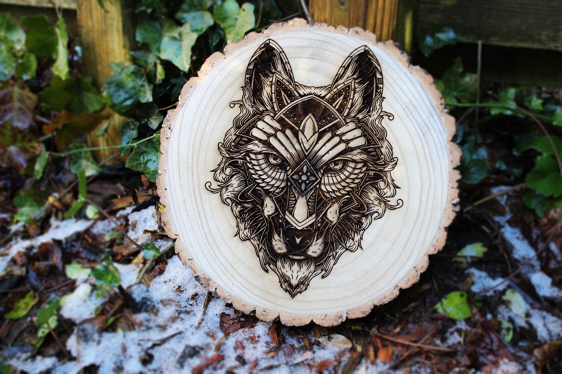 Wolf Log Slice image 4