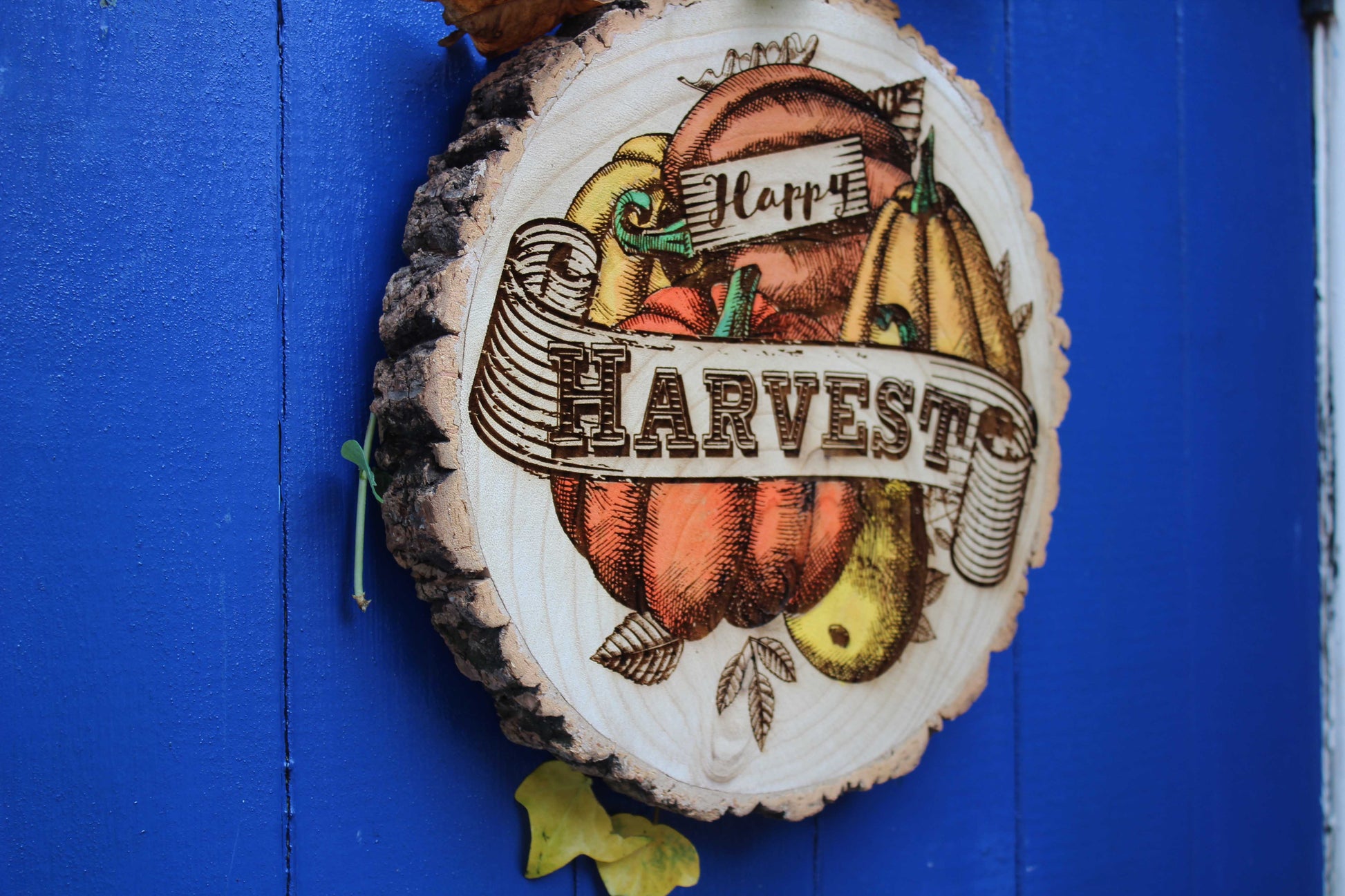 Happy Harvest Log Slice image 3