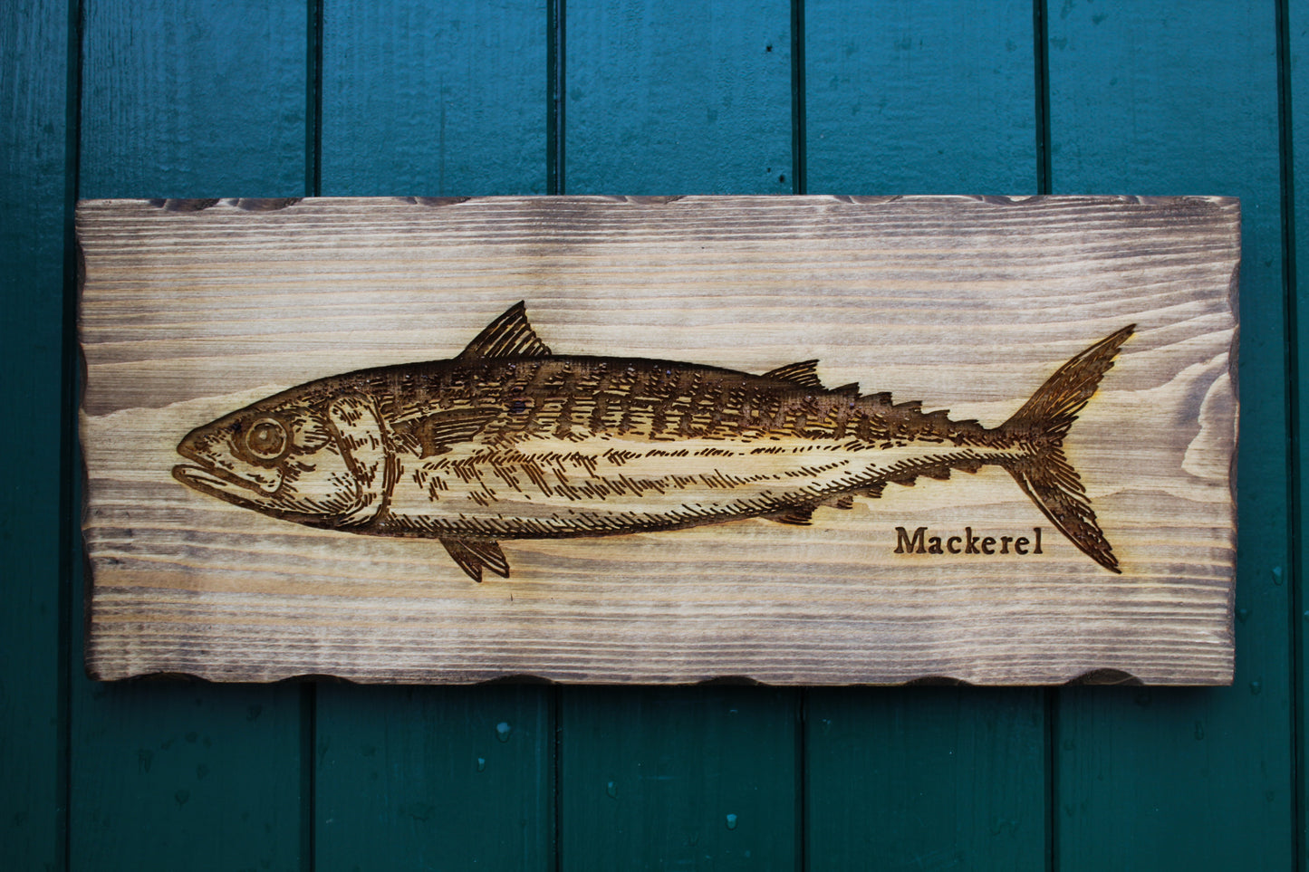 Mackerel Sign image 3