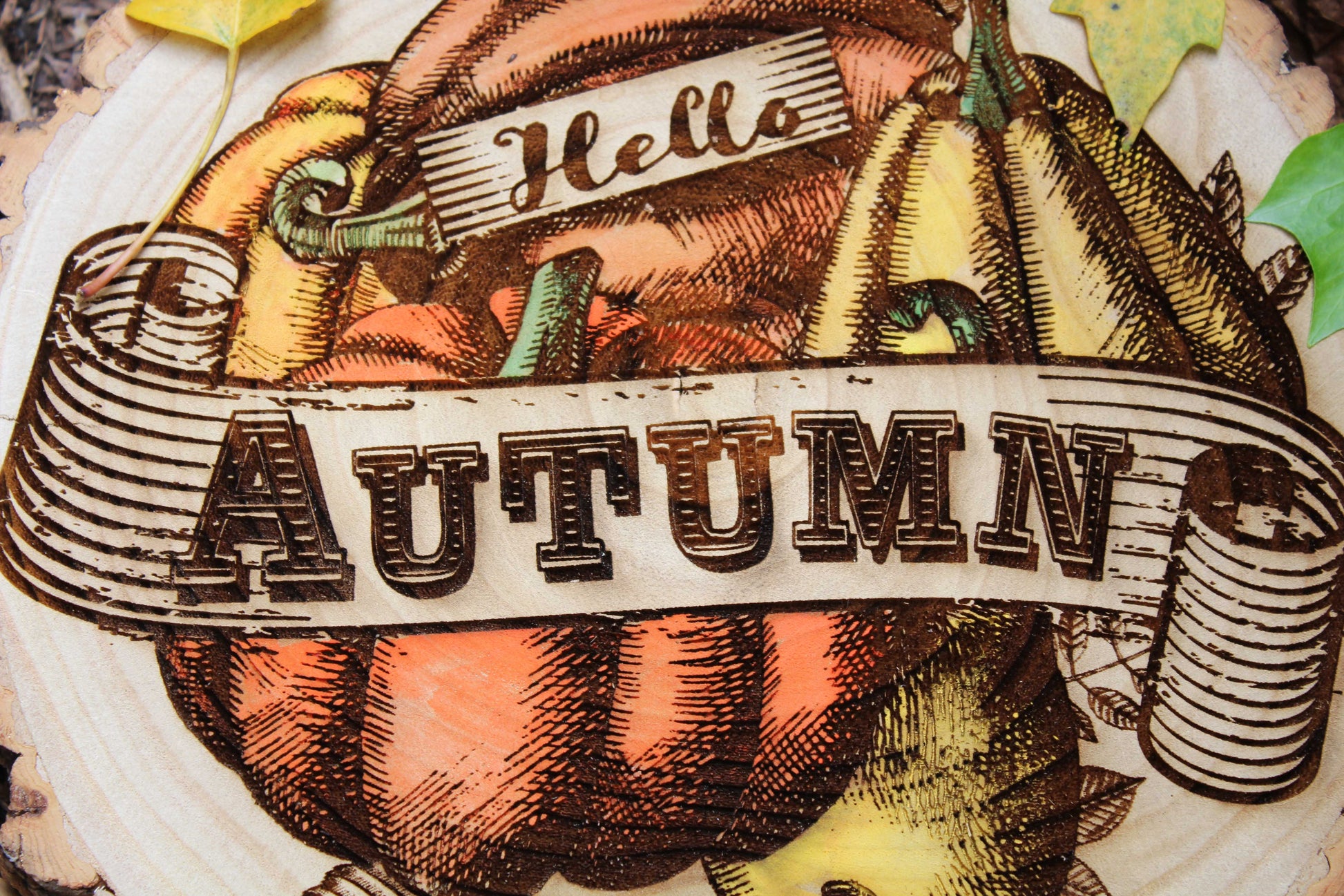 Hello Autumn Log Slice image 6