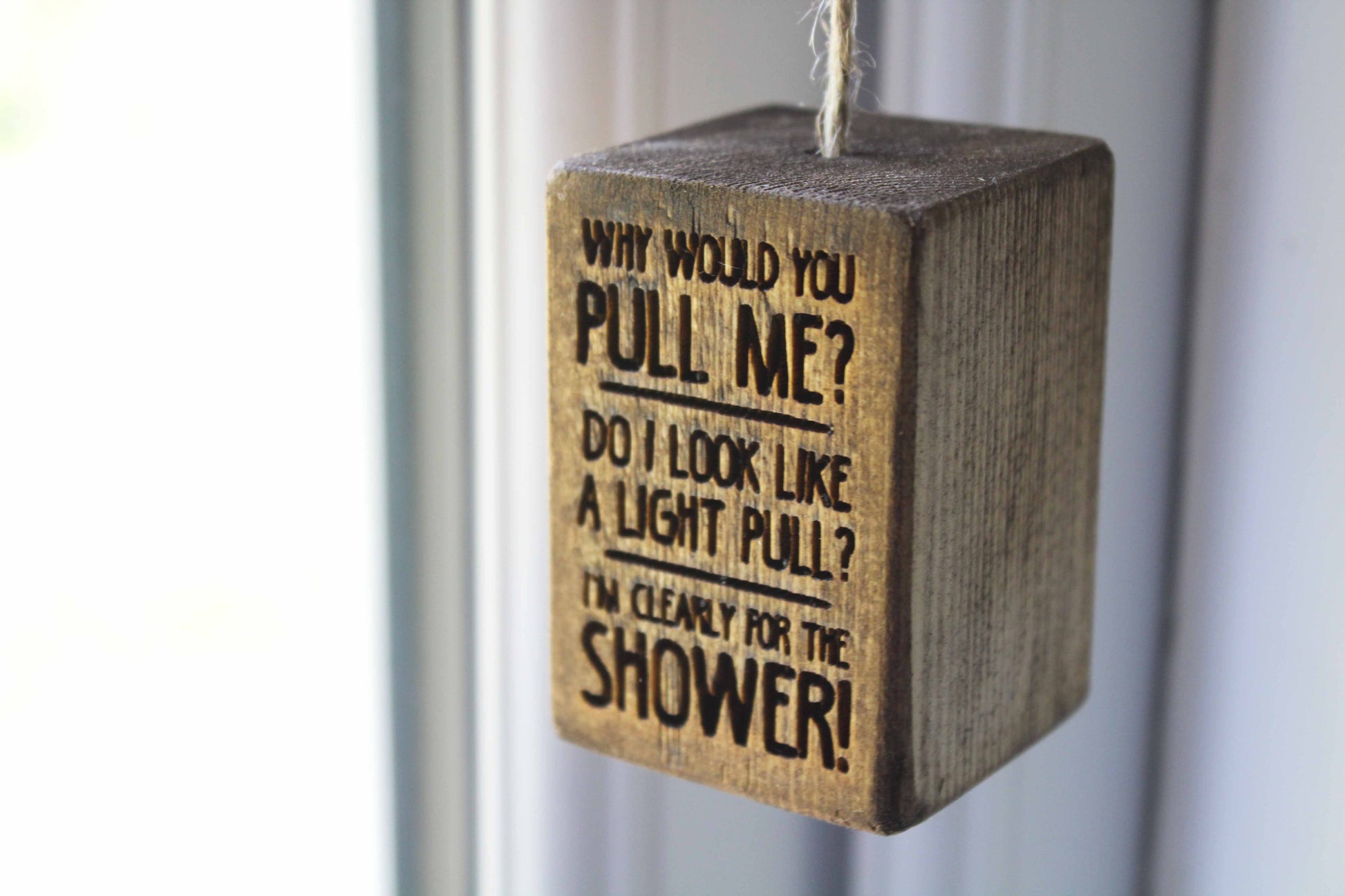 Why Would You Pull Me? Light Pull image 3