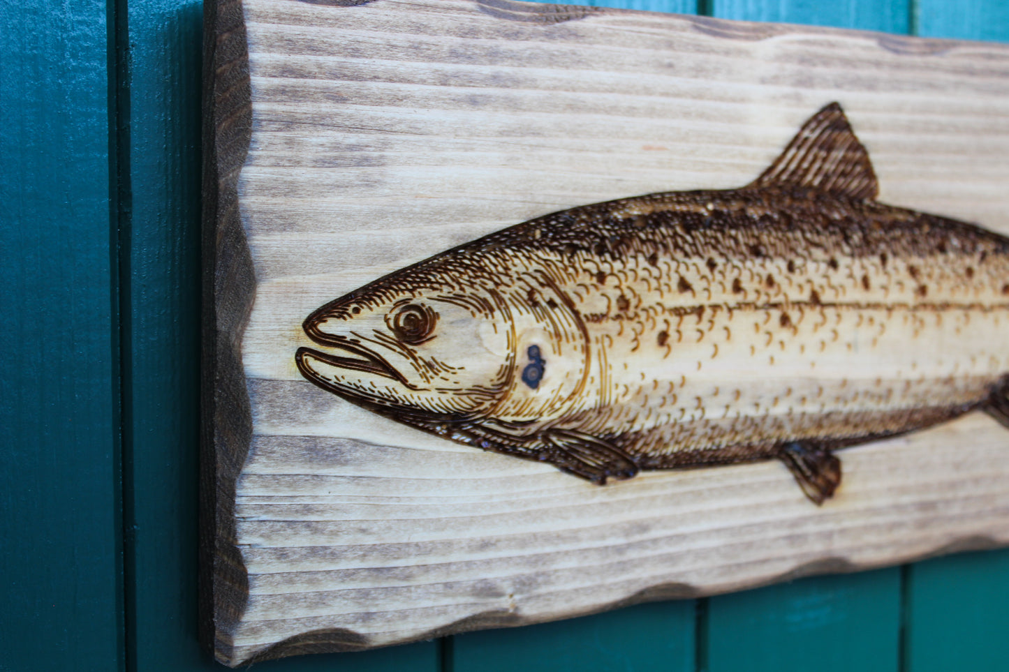 Salmon Sign image 6