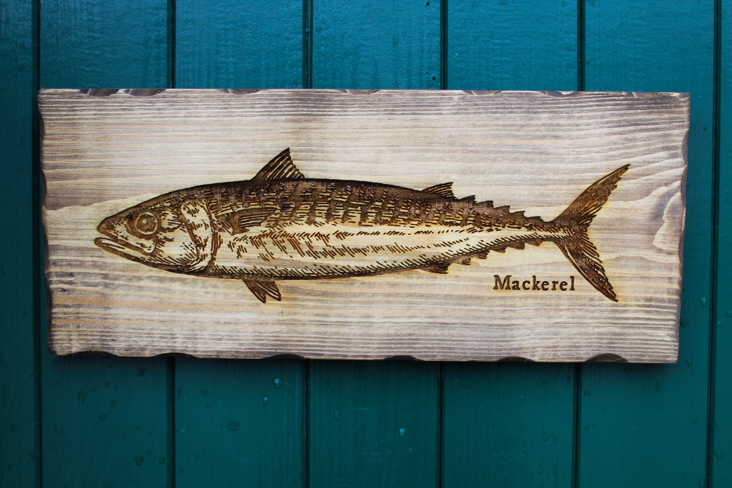 Mackerel Sign image 0