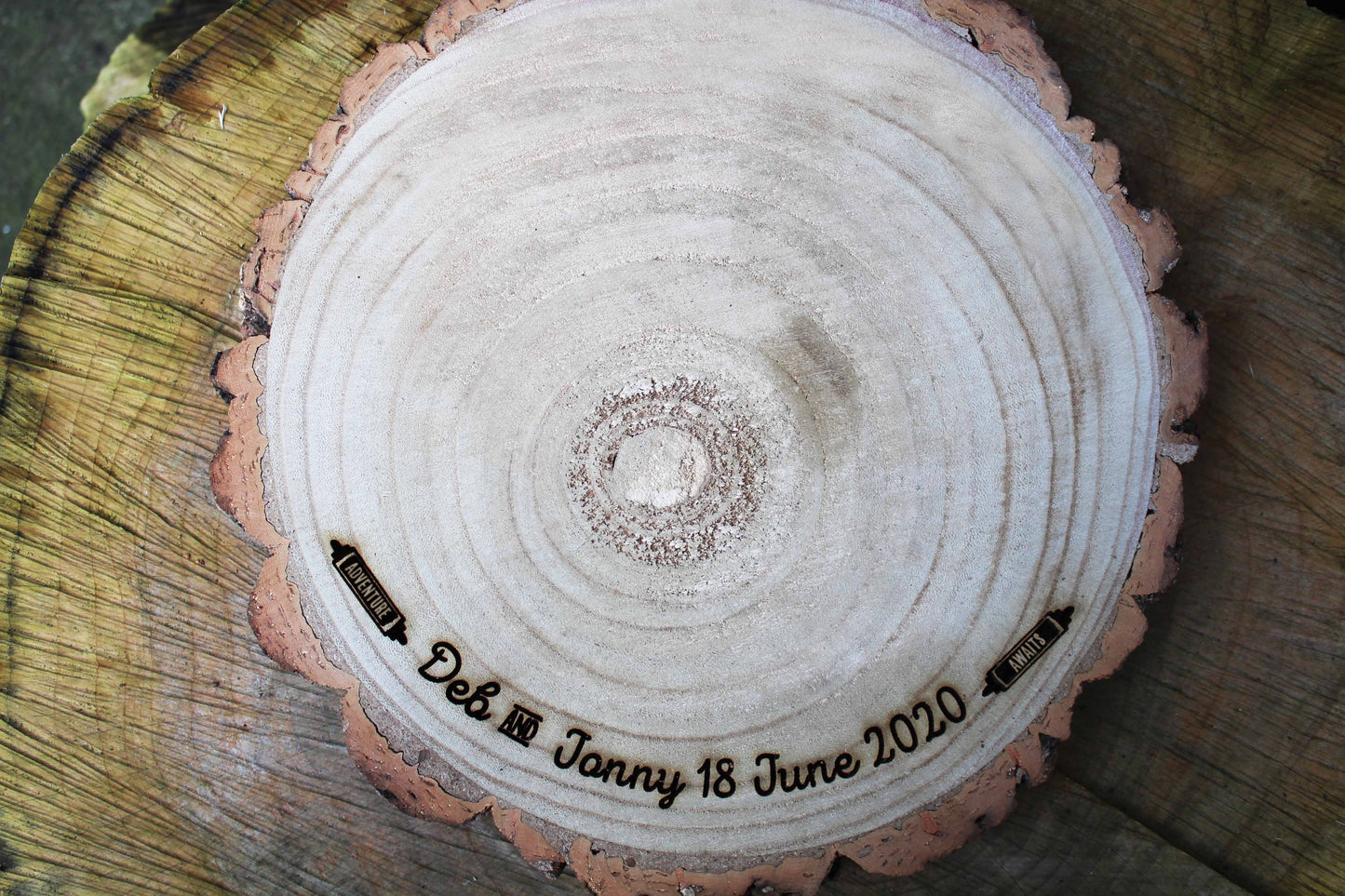 Adventure Log Slice Cake Display image 3