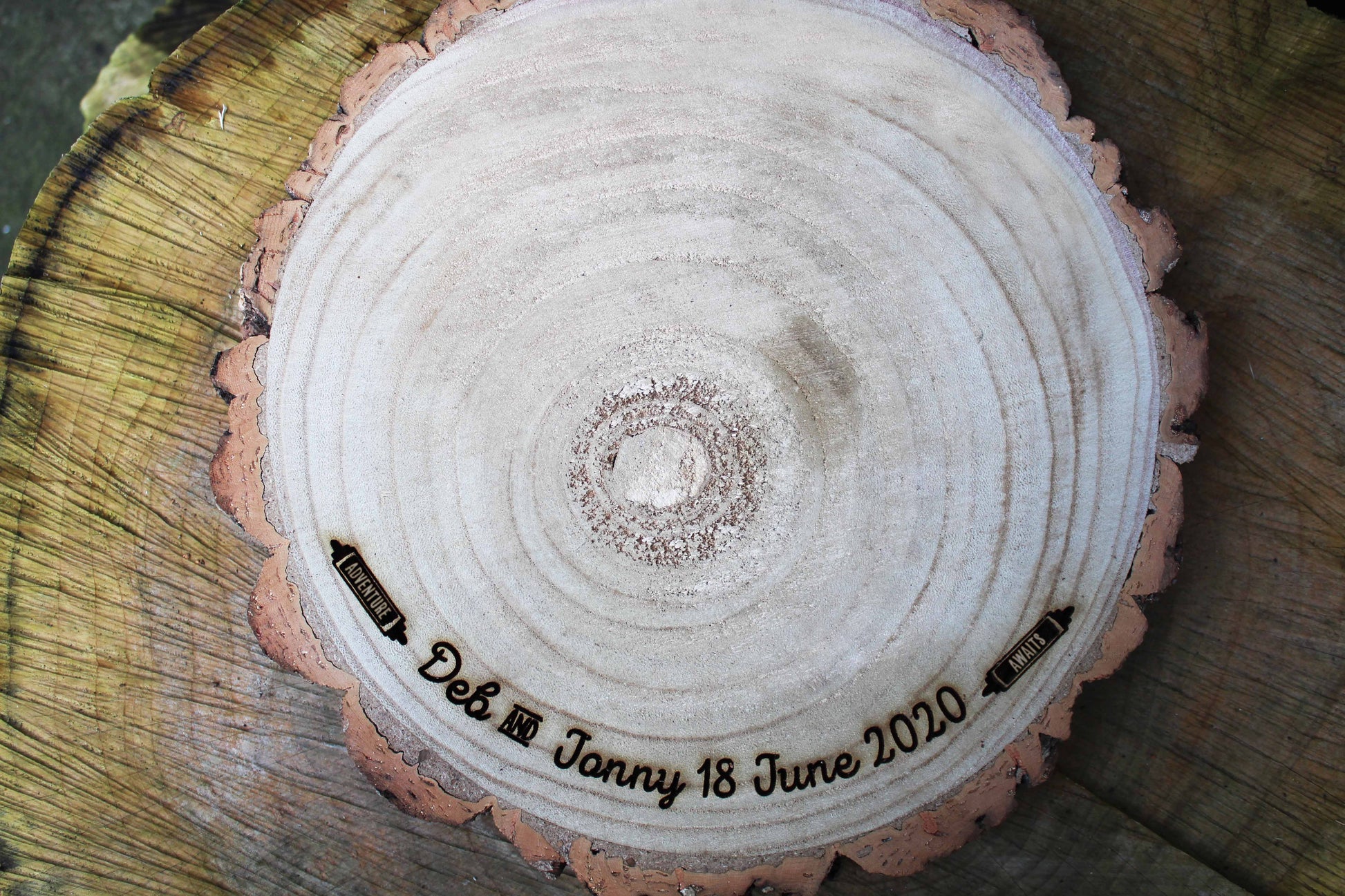 Adventure Log Slice Cake Display image 3