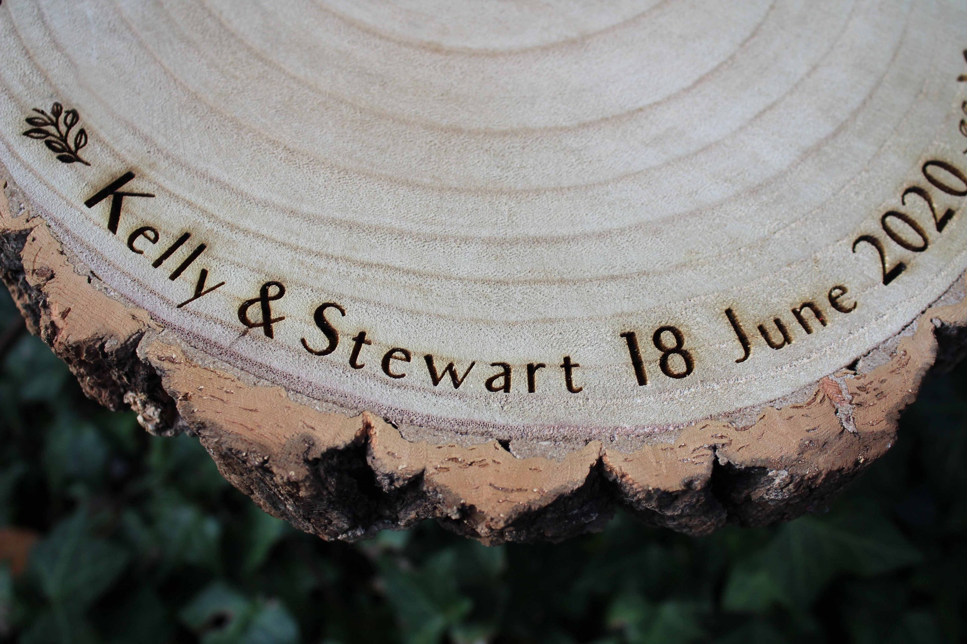 Leaf Log Slice Cake Display image 4