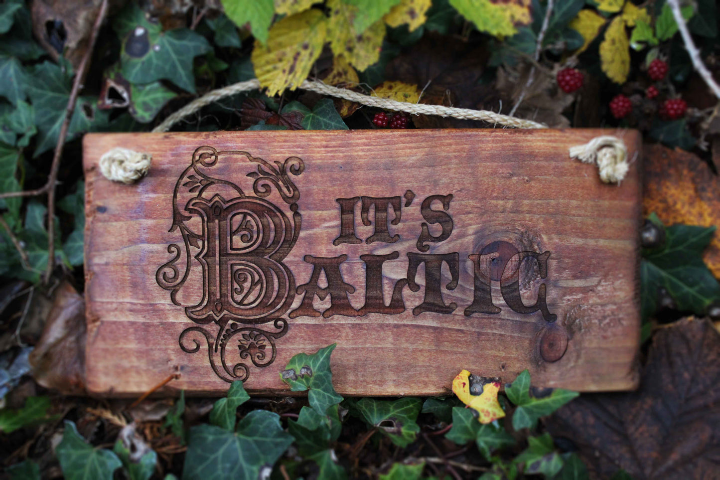 It's Baltic Sign image 2