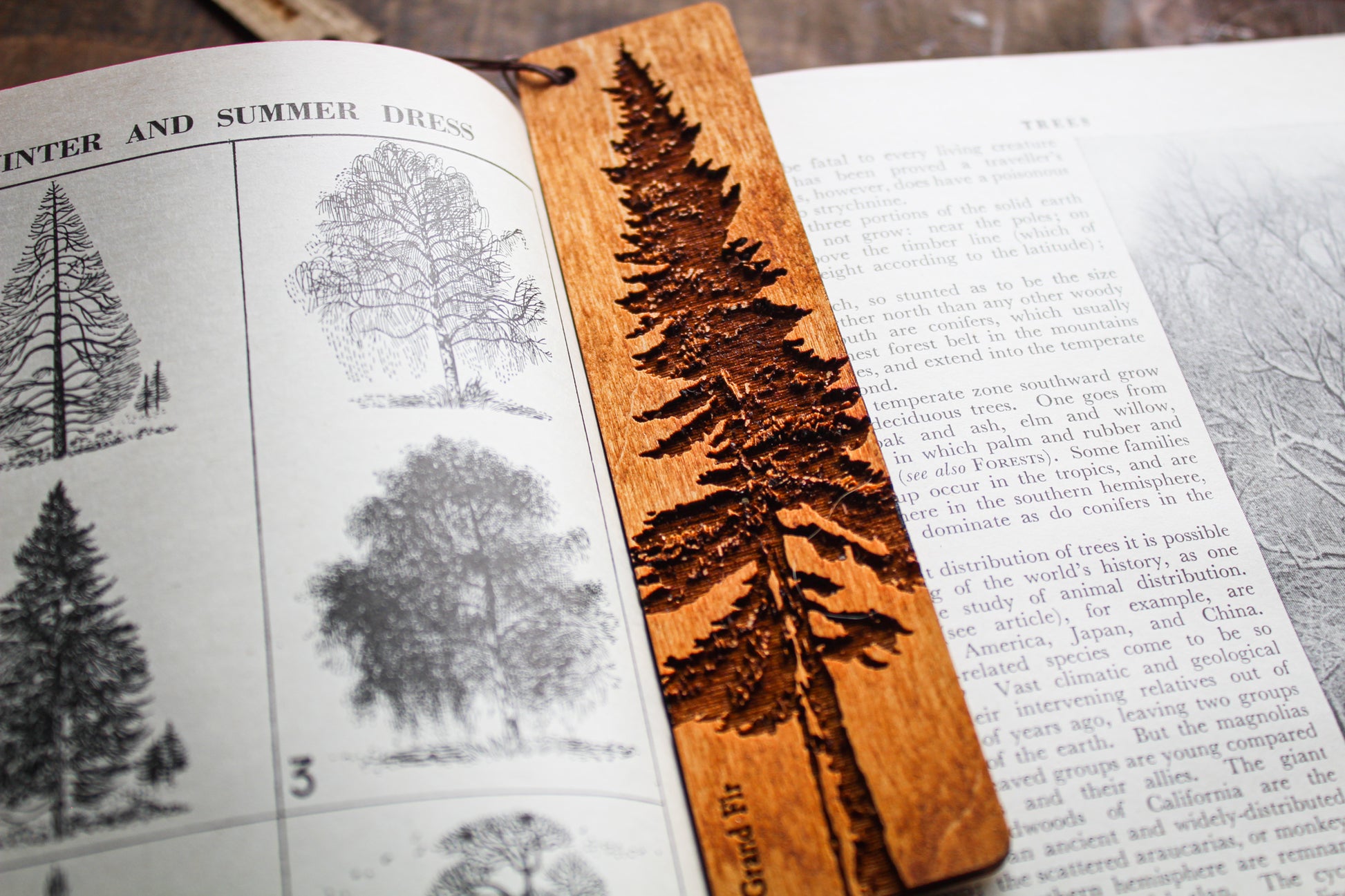 Grand Fir Bookmark image 3