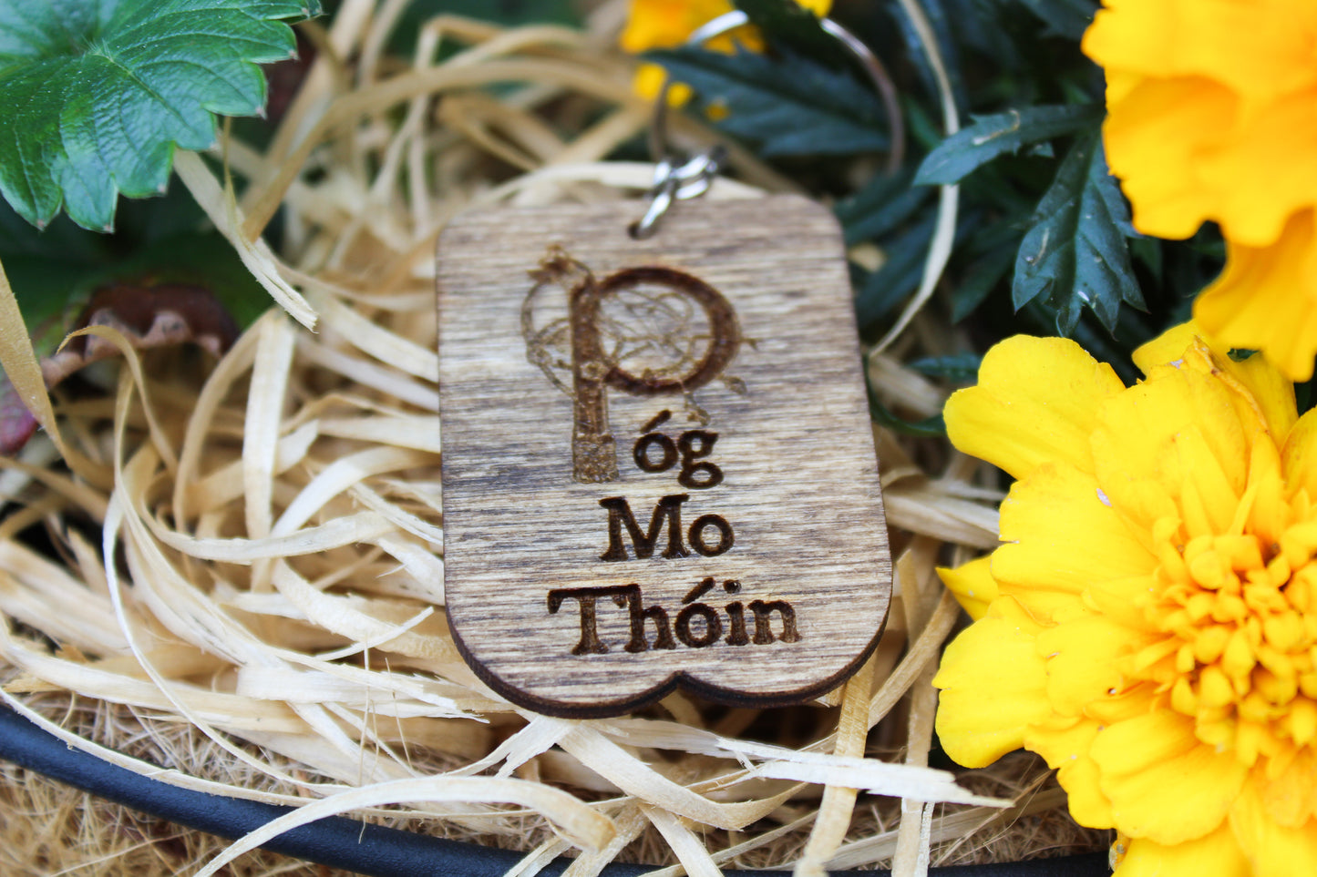 Póg Mo Thóin Keyring image 5