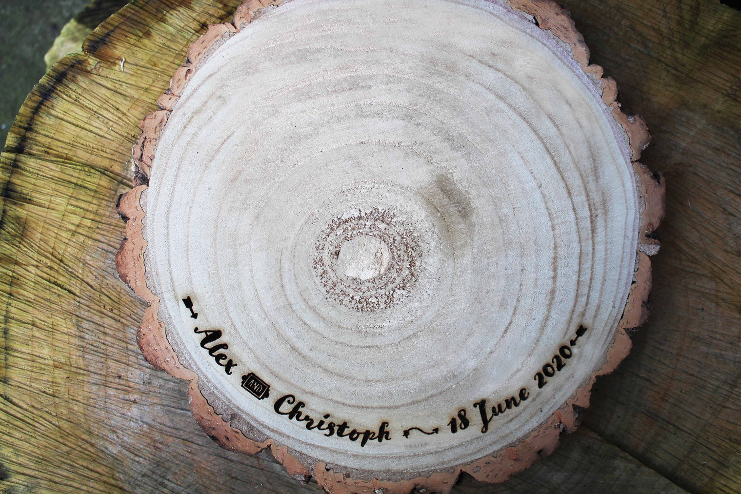 Arrow Log Slice Cake Display image 4