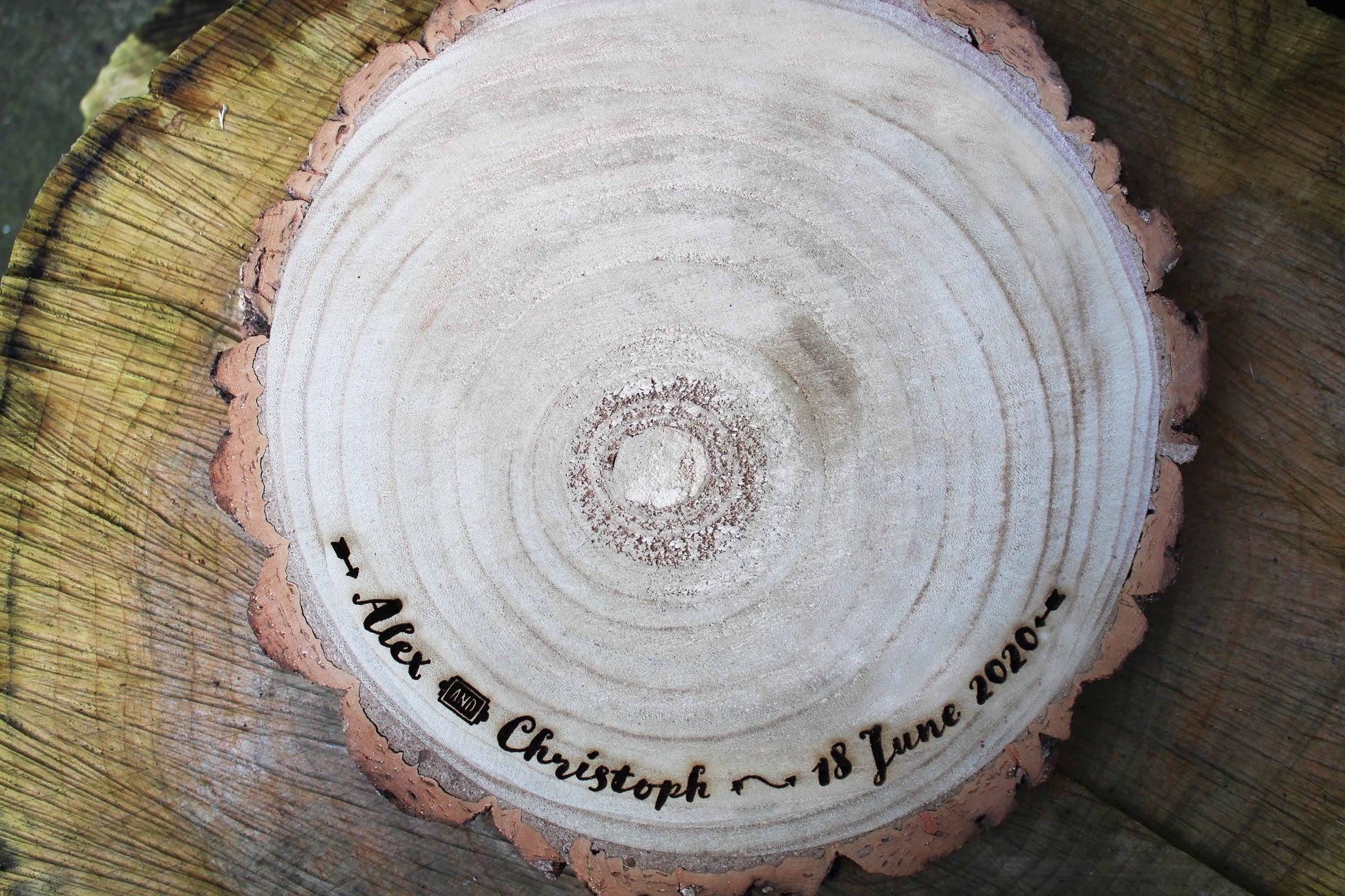 Arrow Log Slice Cake Display image 4