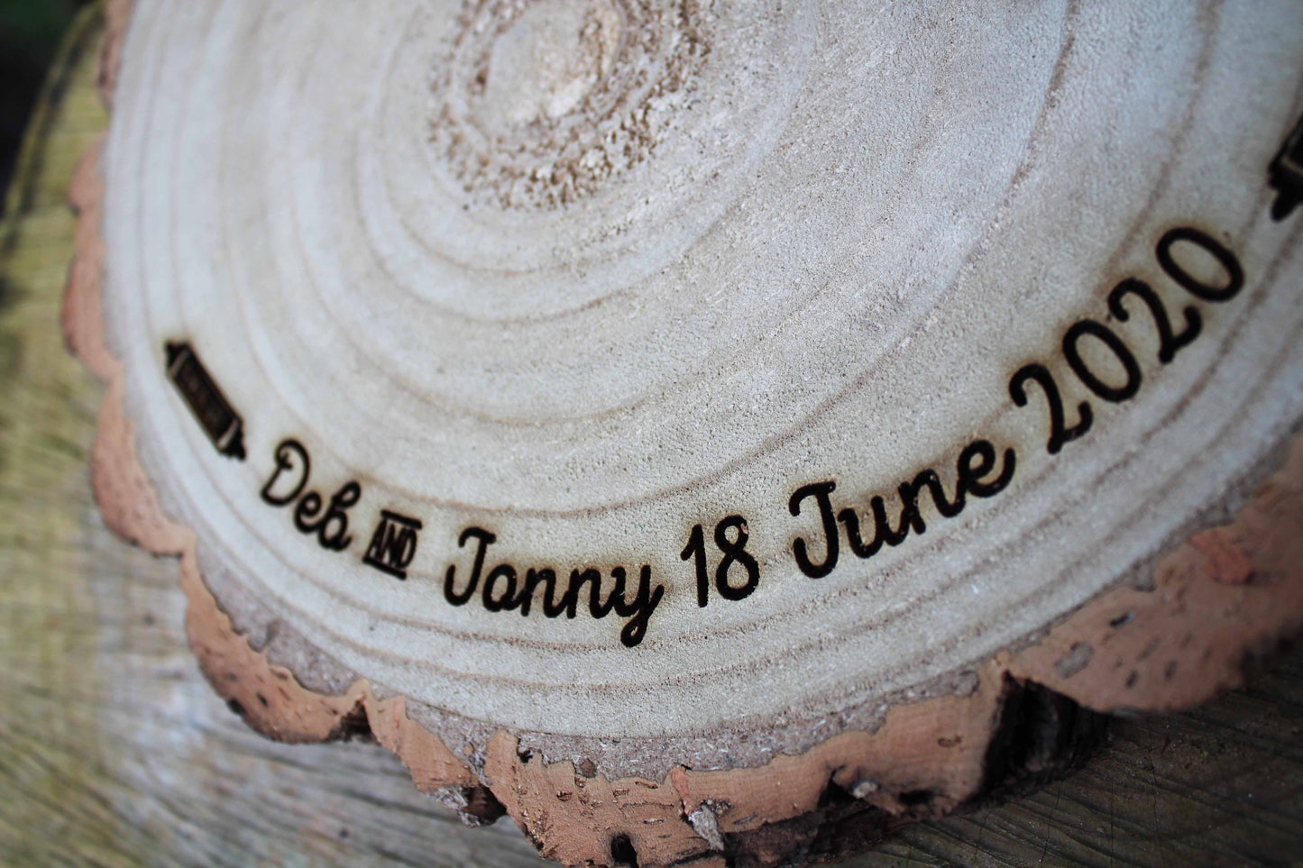 Adventure Log Slice Cake Display image 2