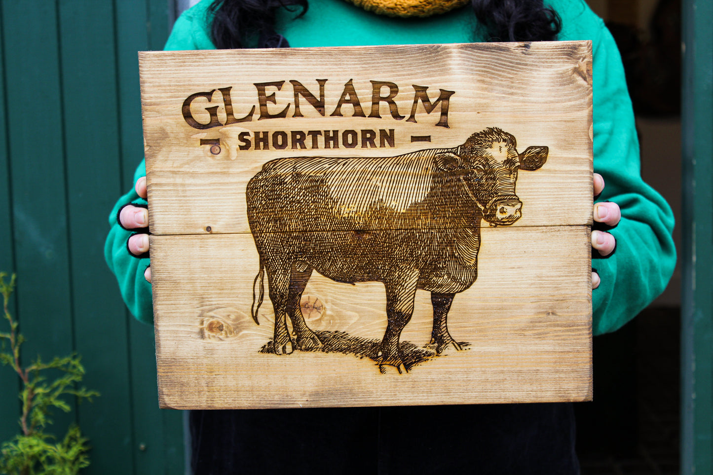 Glenarm Shorthorn Panel Art image 0