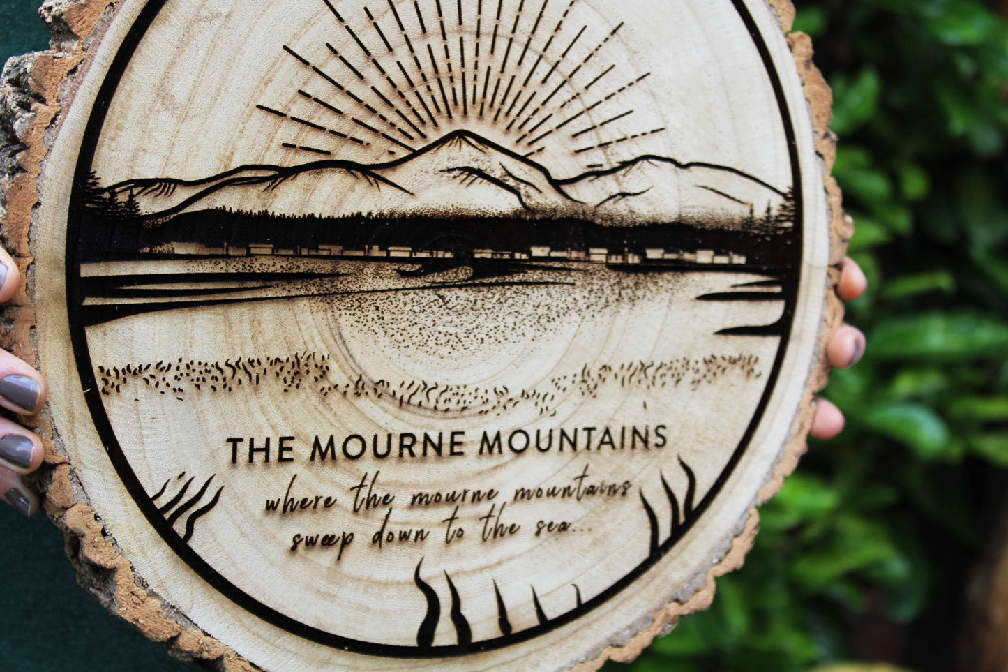 Mourne Mountains Log Slice image 4