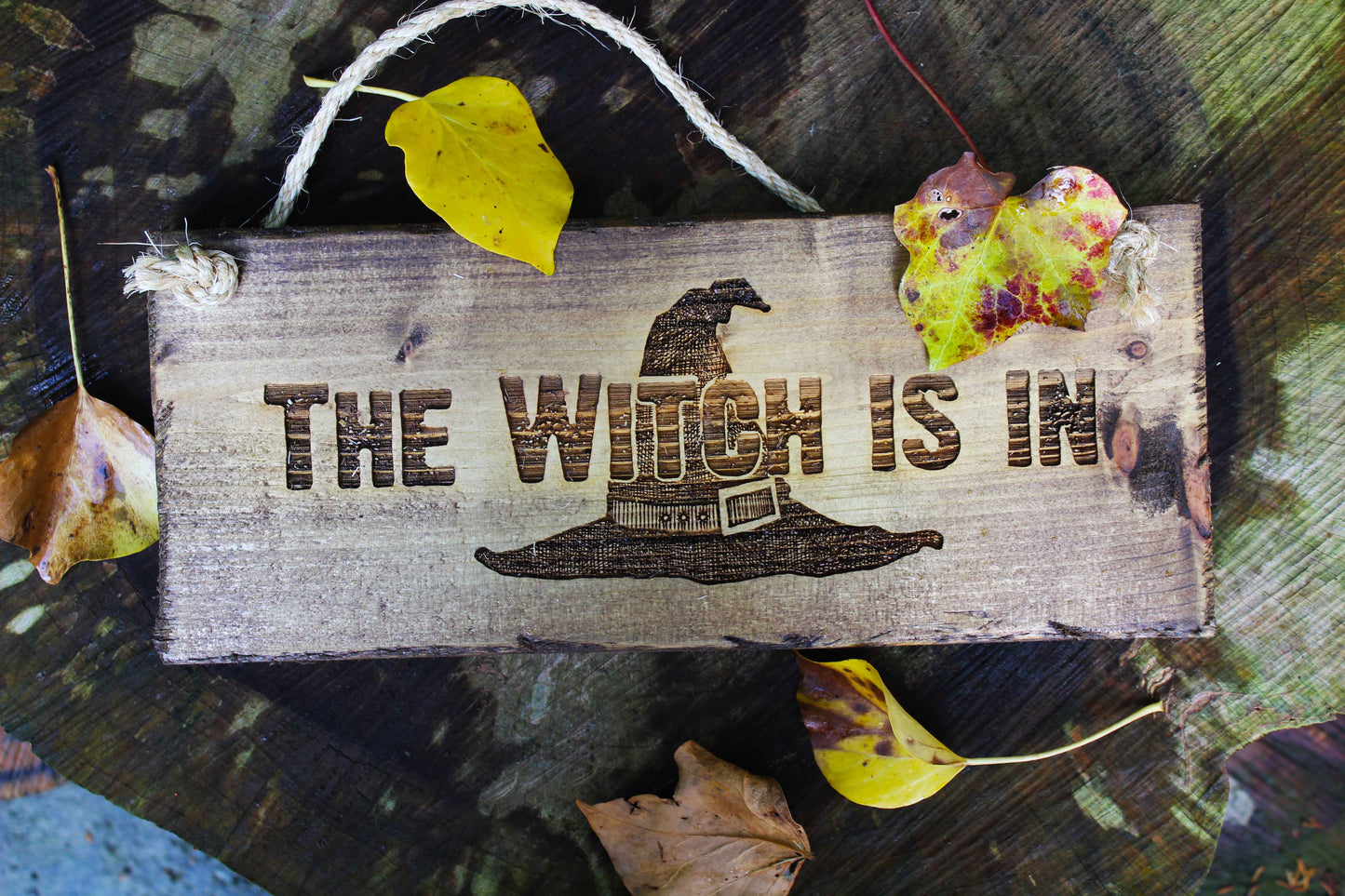 The Witch Is In Sign image 0