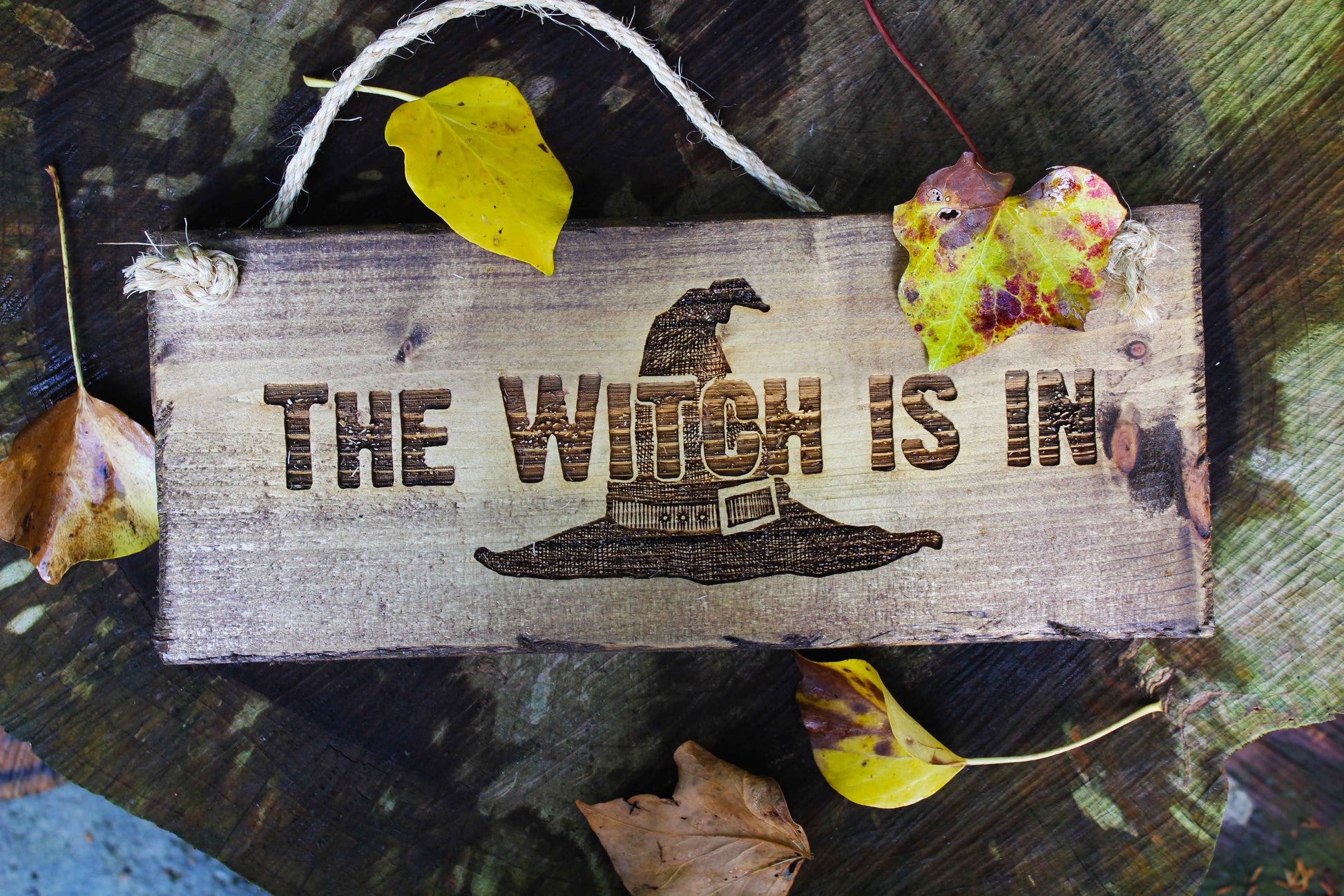The Witch Is In Sign image 0