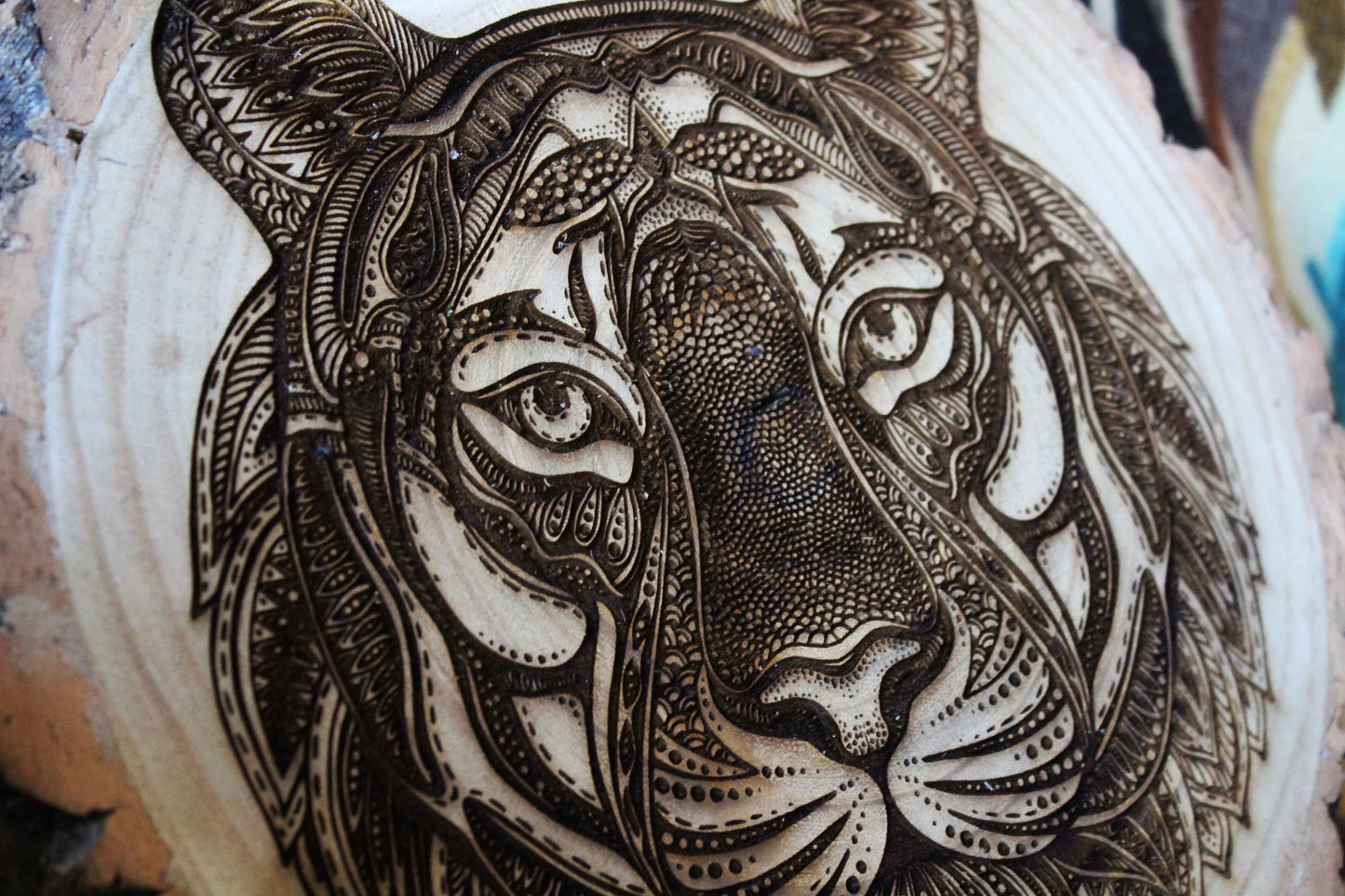 Tiger Log Slice image 2