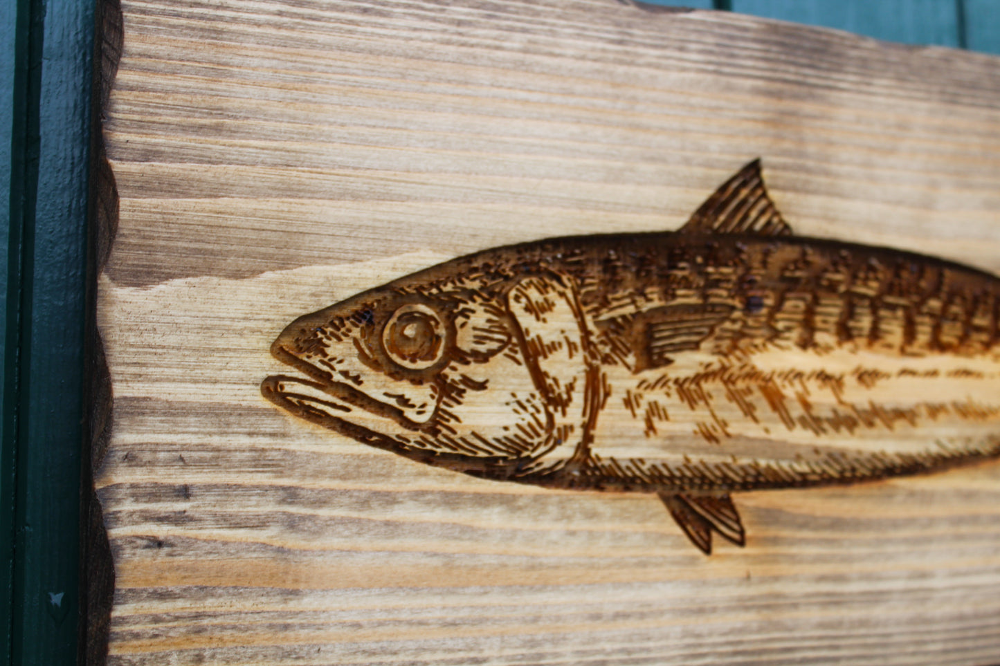 Mackerel Sign image 4