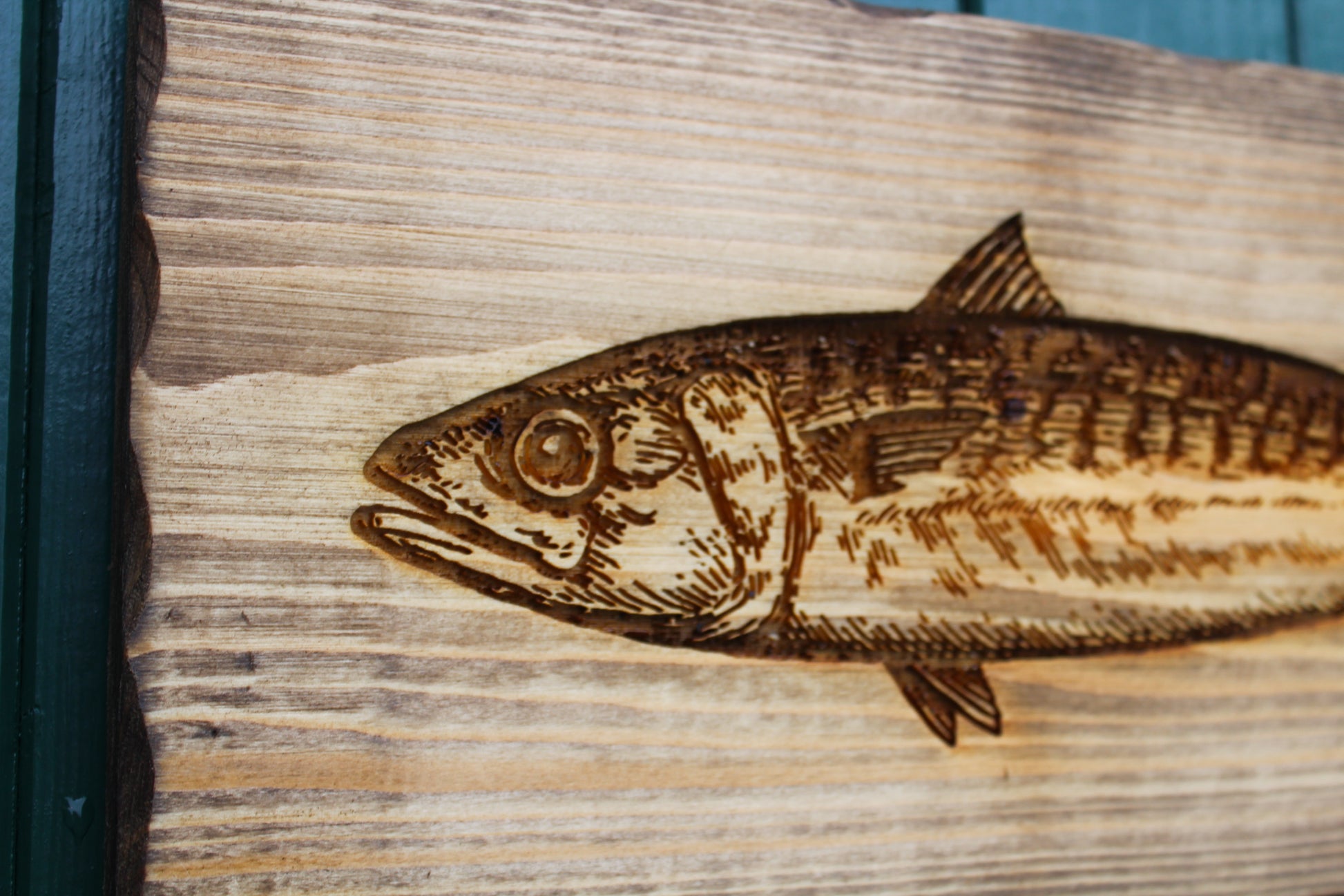 Mackerel Sign image 4