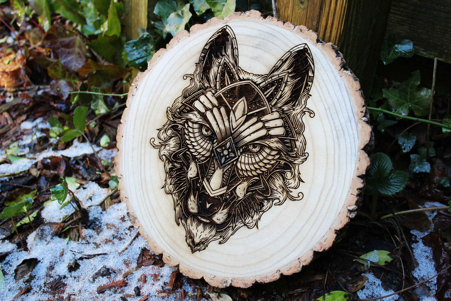 Wolf Log Slice image 0