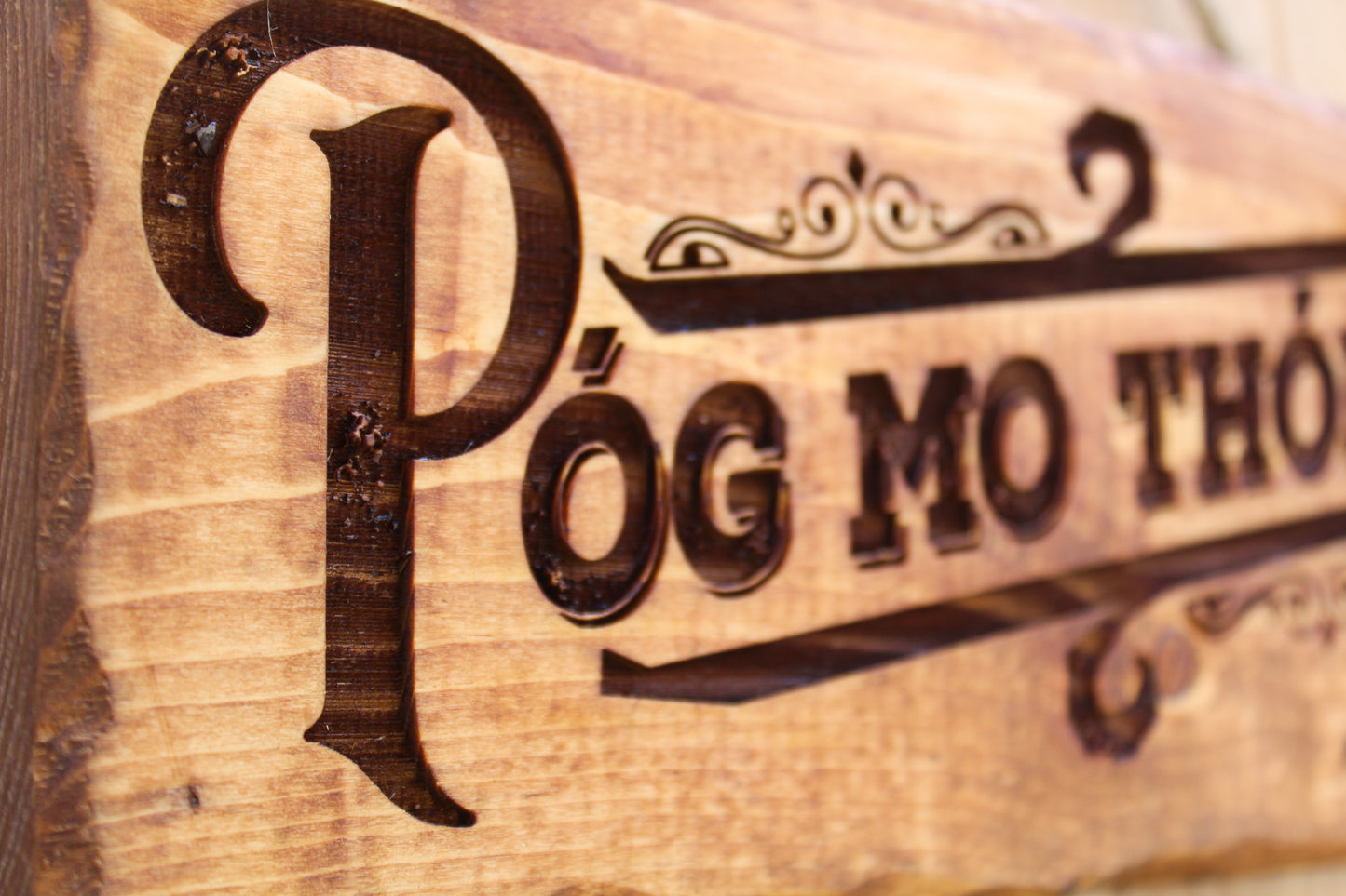 Póg Mo Thóin Sign image 4