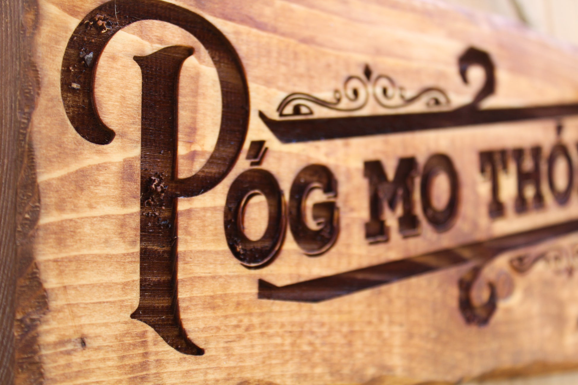 Póg Mo Thóin Sign image 4