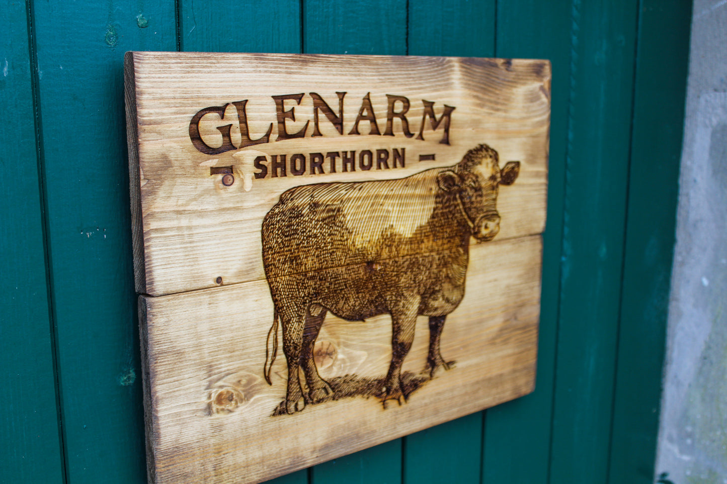 Glenarm Shorthorn Panel Art image 1