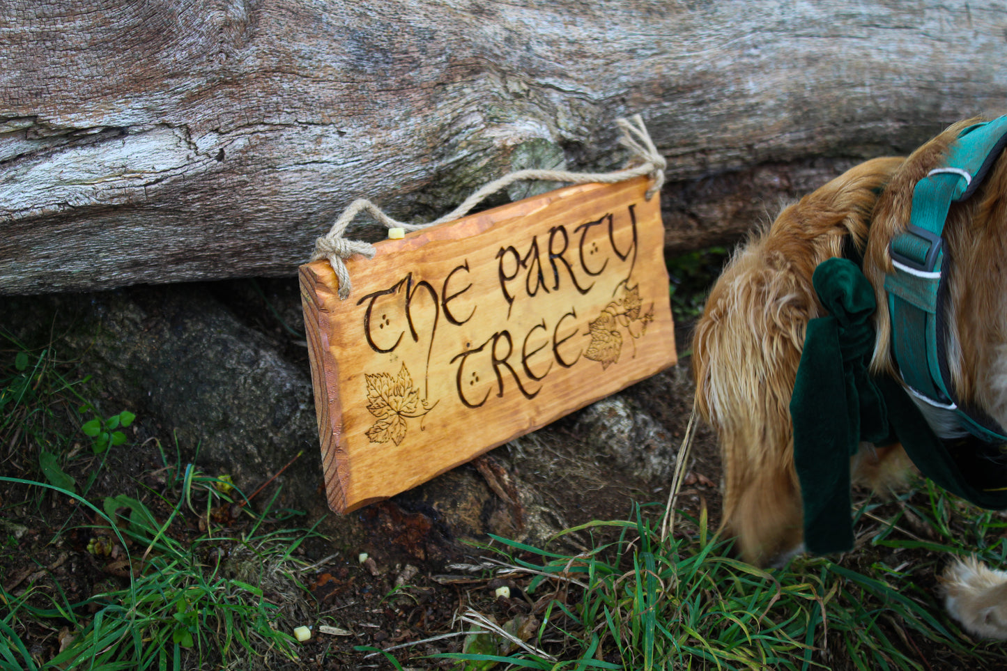 The Party Tree Sign image 8