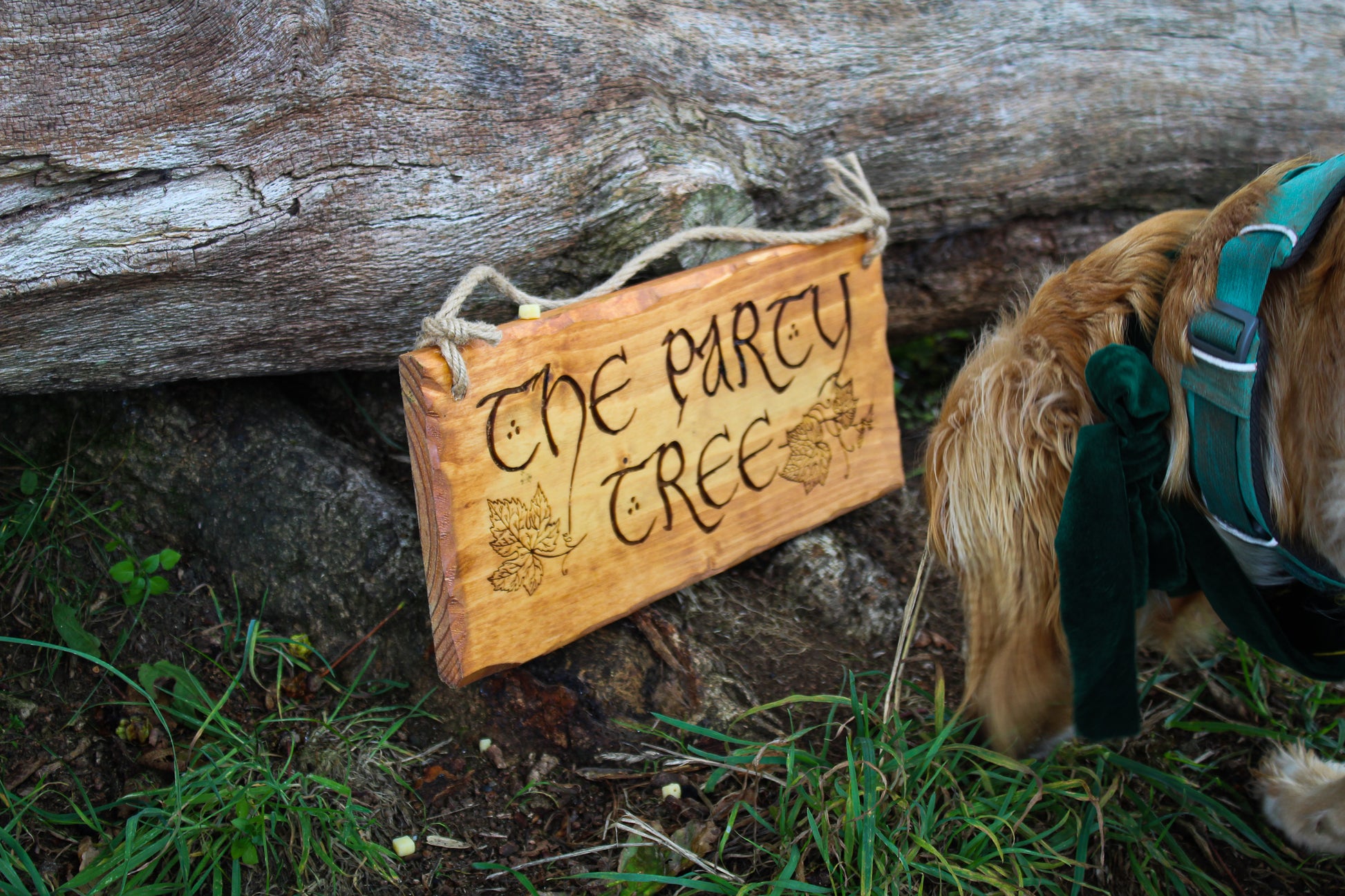 The Party Tree Sign image 8
