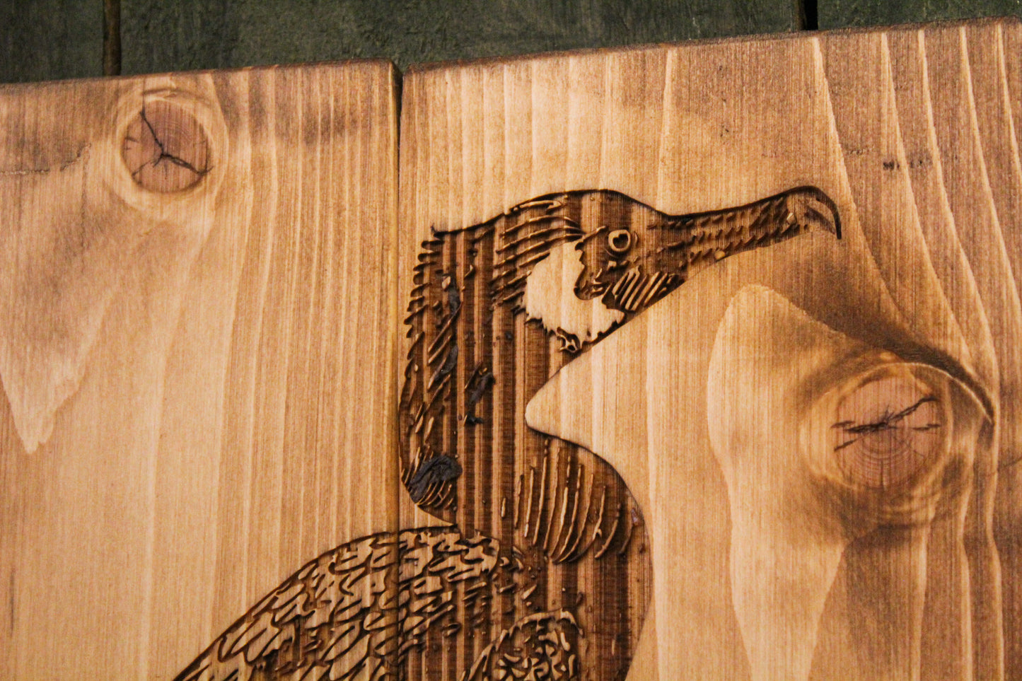Cormorant Panel Art