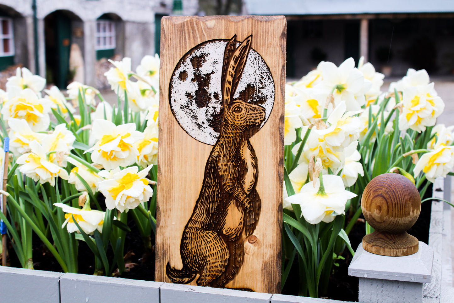 Hare and Moon Sign
