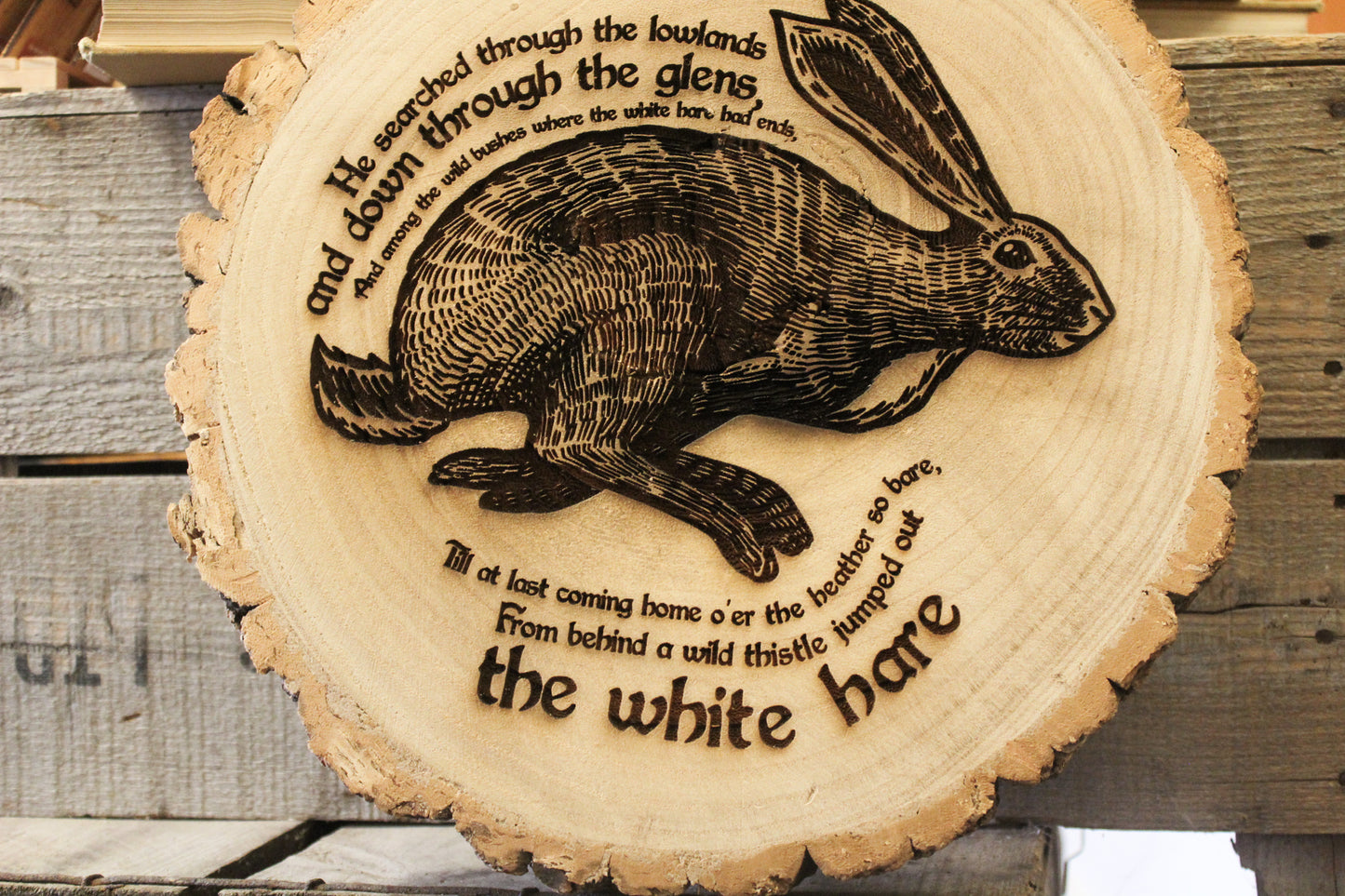 White Hare Log Slice